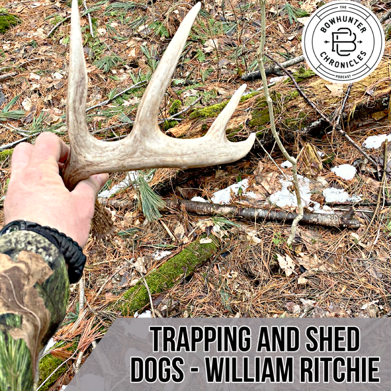 Bowhunter Chronicles Podcast