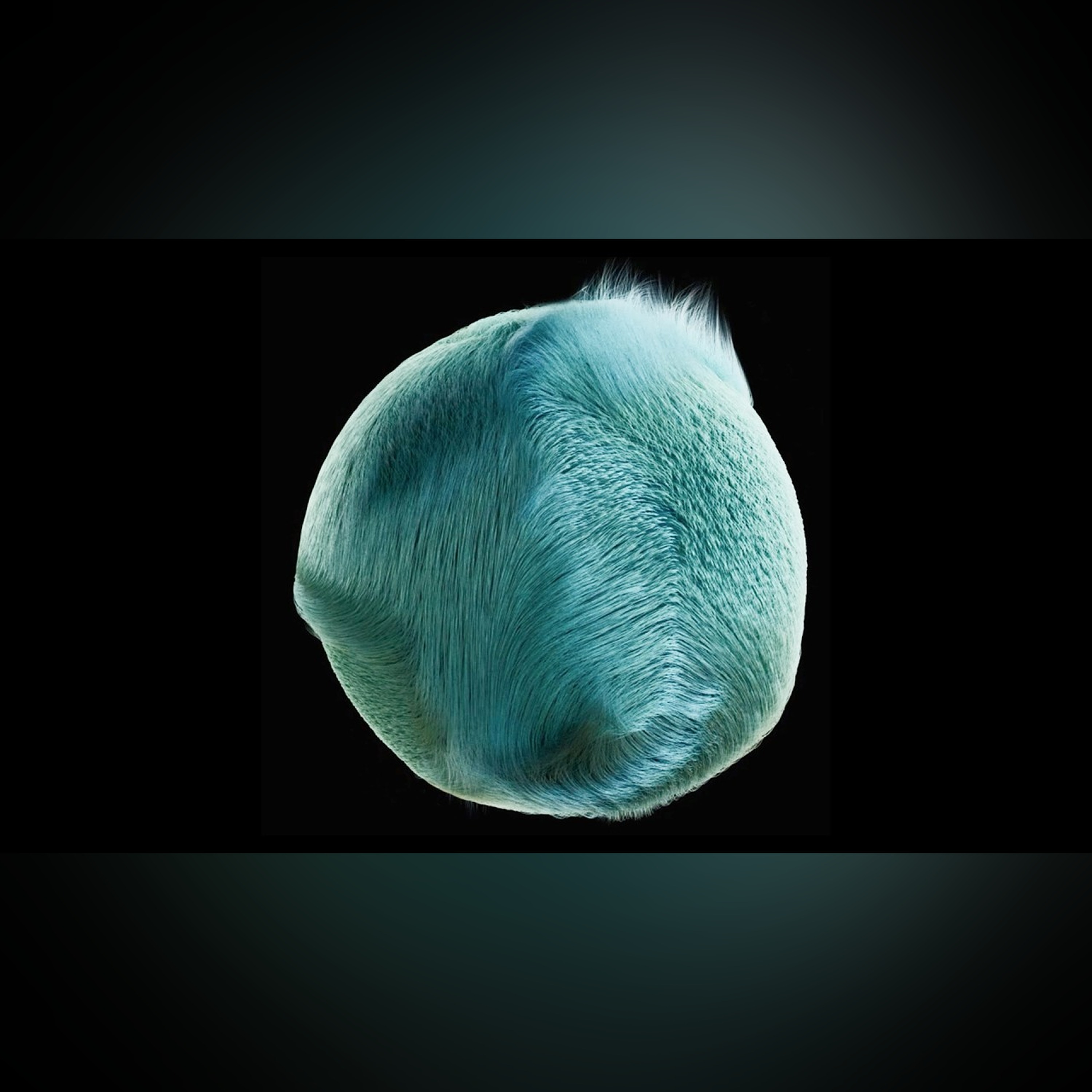Why you can't comb a hairy ball, and why we care episode artwork