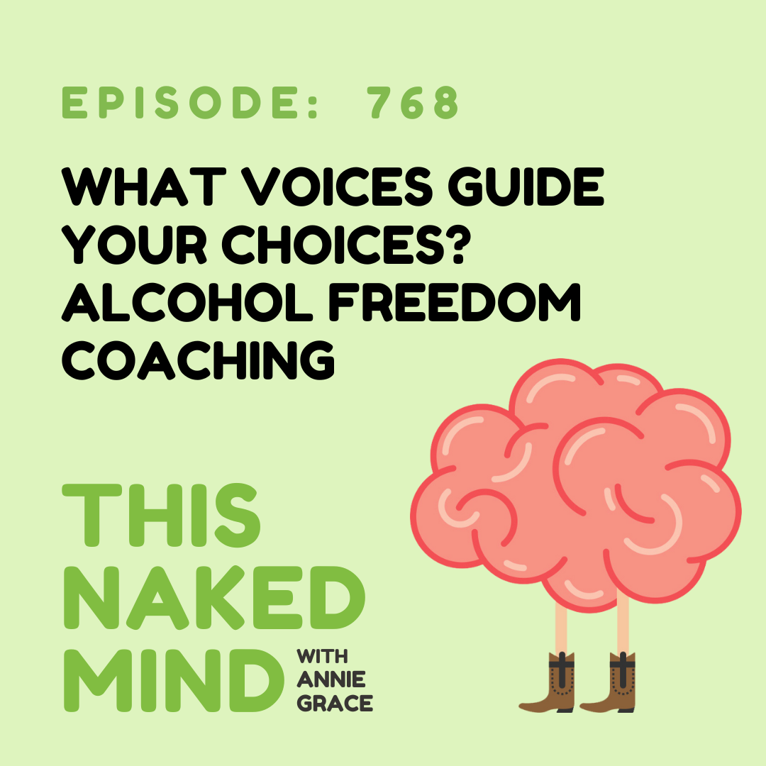 What Voices Guide Your Choices? Alcohol Freedom Coaching | E768
