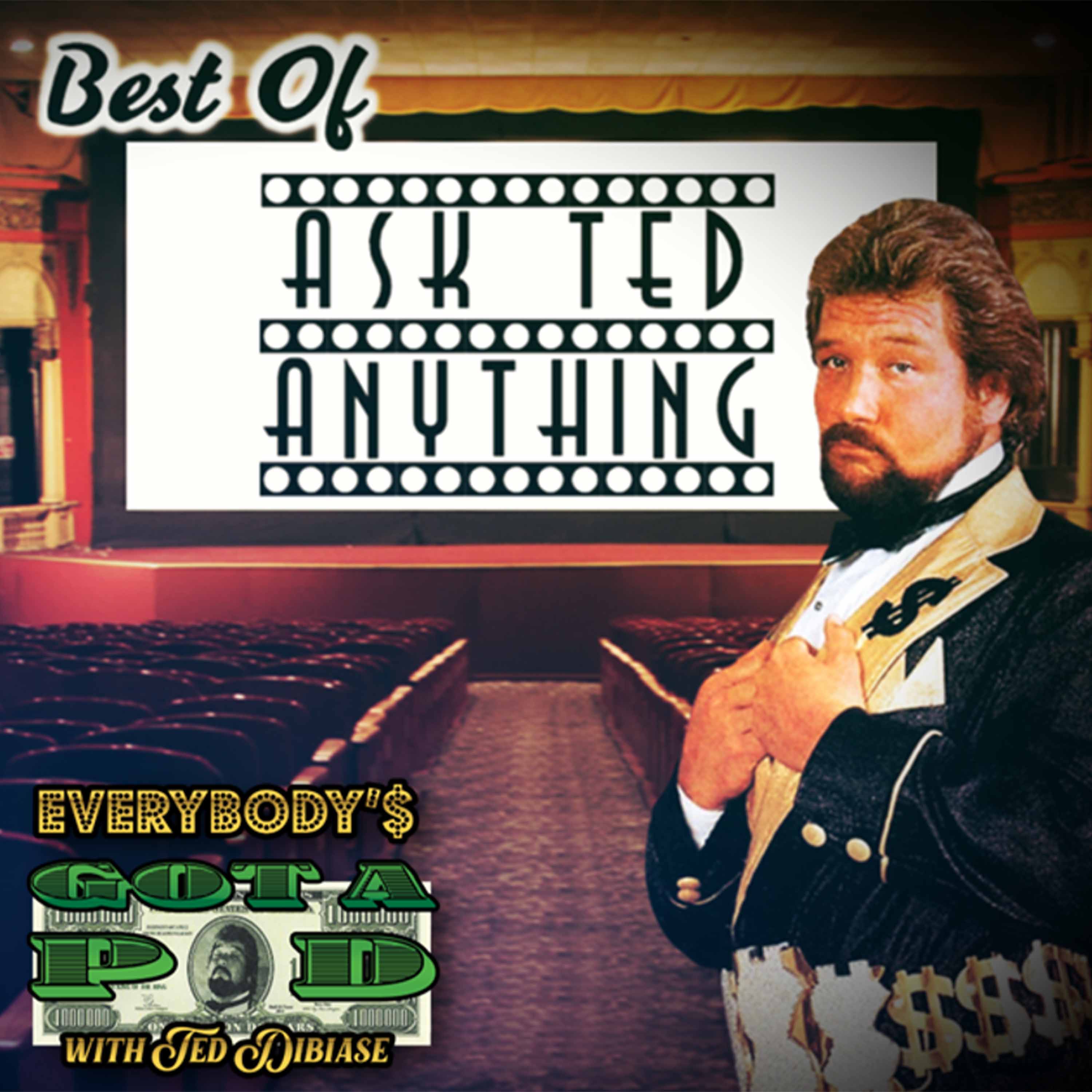 Episode 49: Best of Ask Ted Anything episode artwork