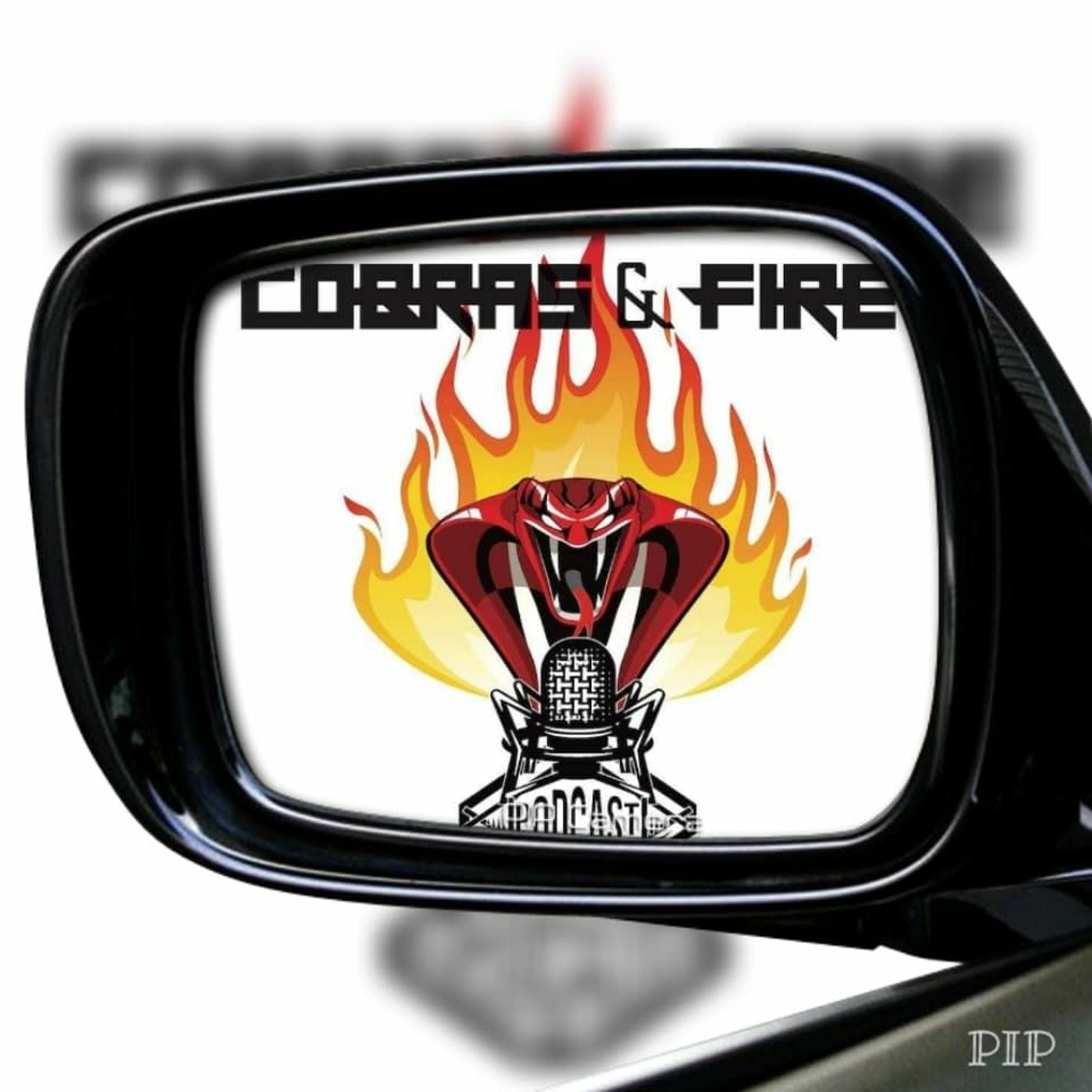 Cobras & Fire: Comedy / Rock Talk Show