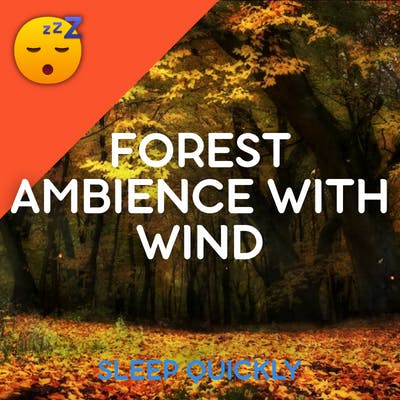 😴🍂 FOREST Ambience with WIND for SLEEP episode artwork