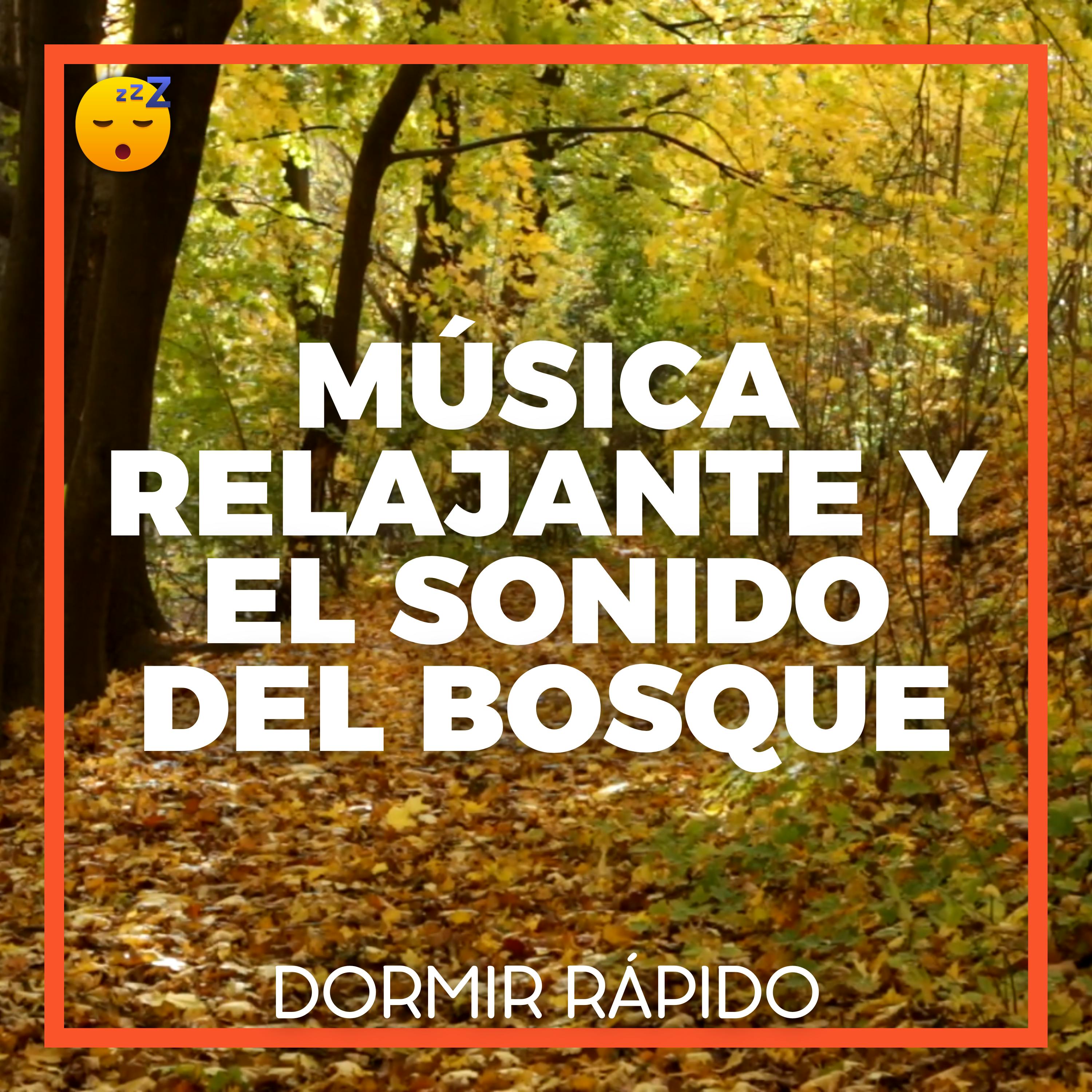 MÚSICA Relajante y el Sonido del BOSQUE para un SUEÑO Reparador episode artwork