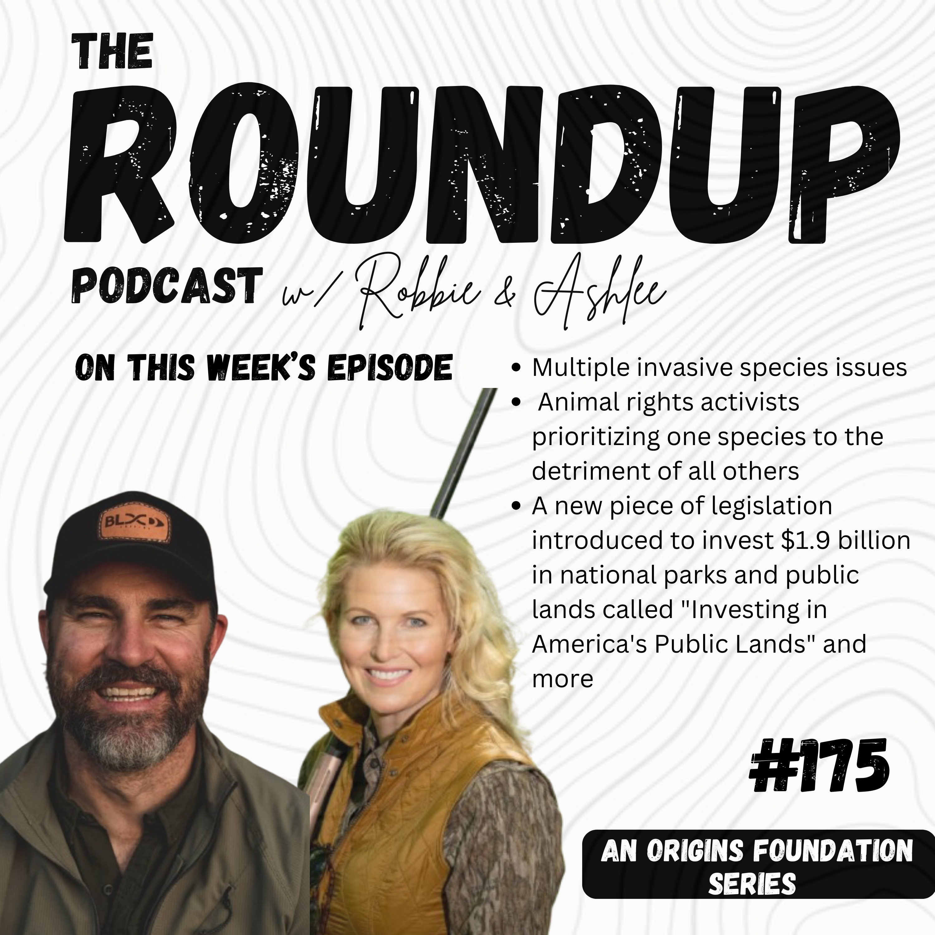 What do Burmese pythons, Australian feral horses, and rats in New Zealand have in common? || Roundup 175