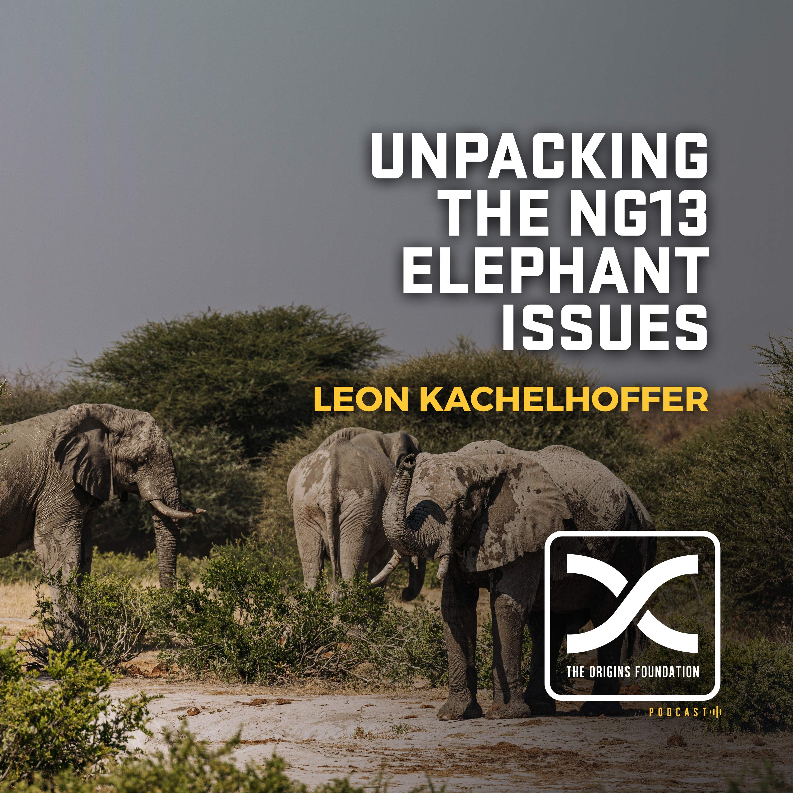 Episode 623 - Leon Kachelhoffer || Unpacking The NG13 Elephant Issues