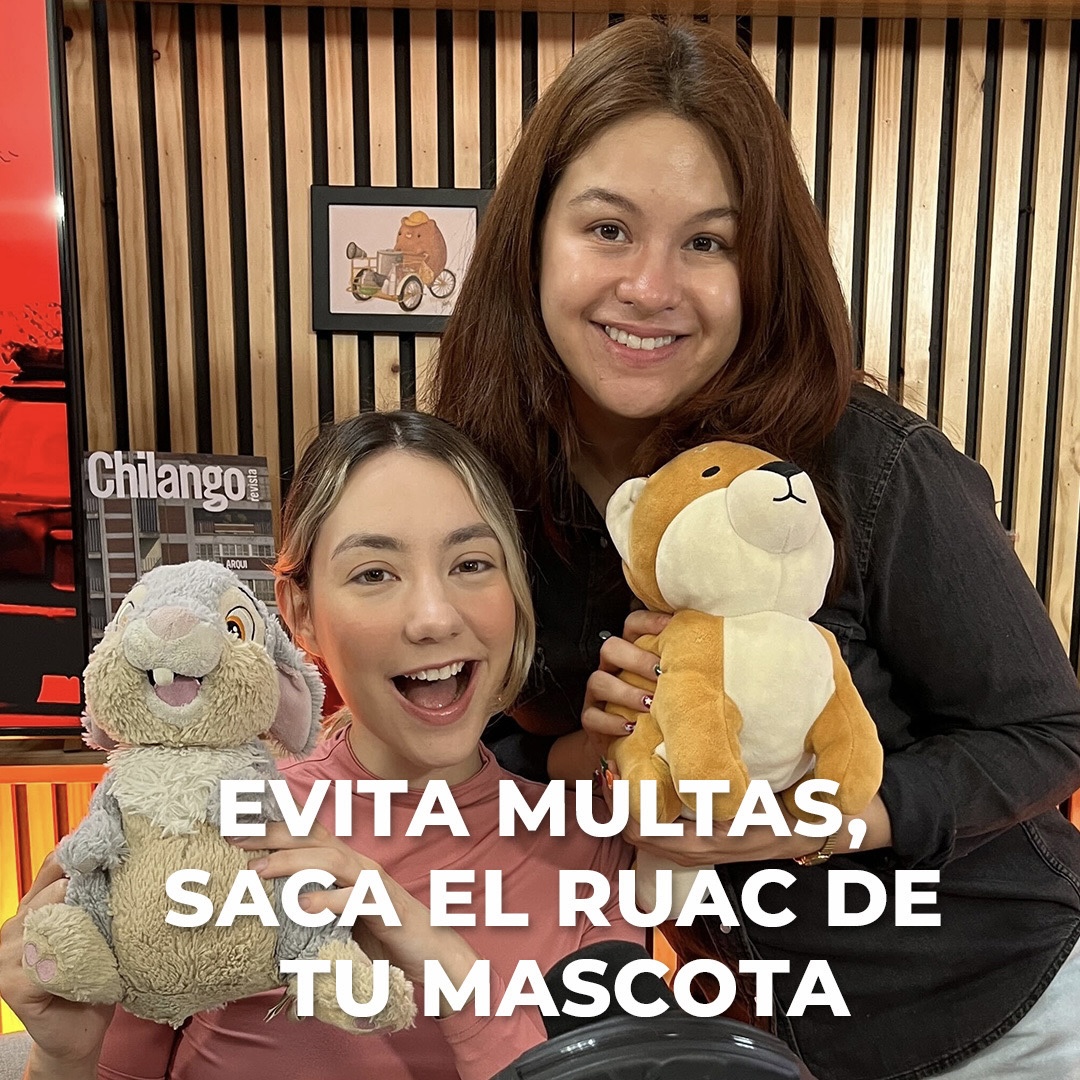 #ChingoDeMascotas con Ando y Grecia: el origen del ‘perreo’, evita multas y tramita el RUAC. episode artwork
