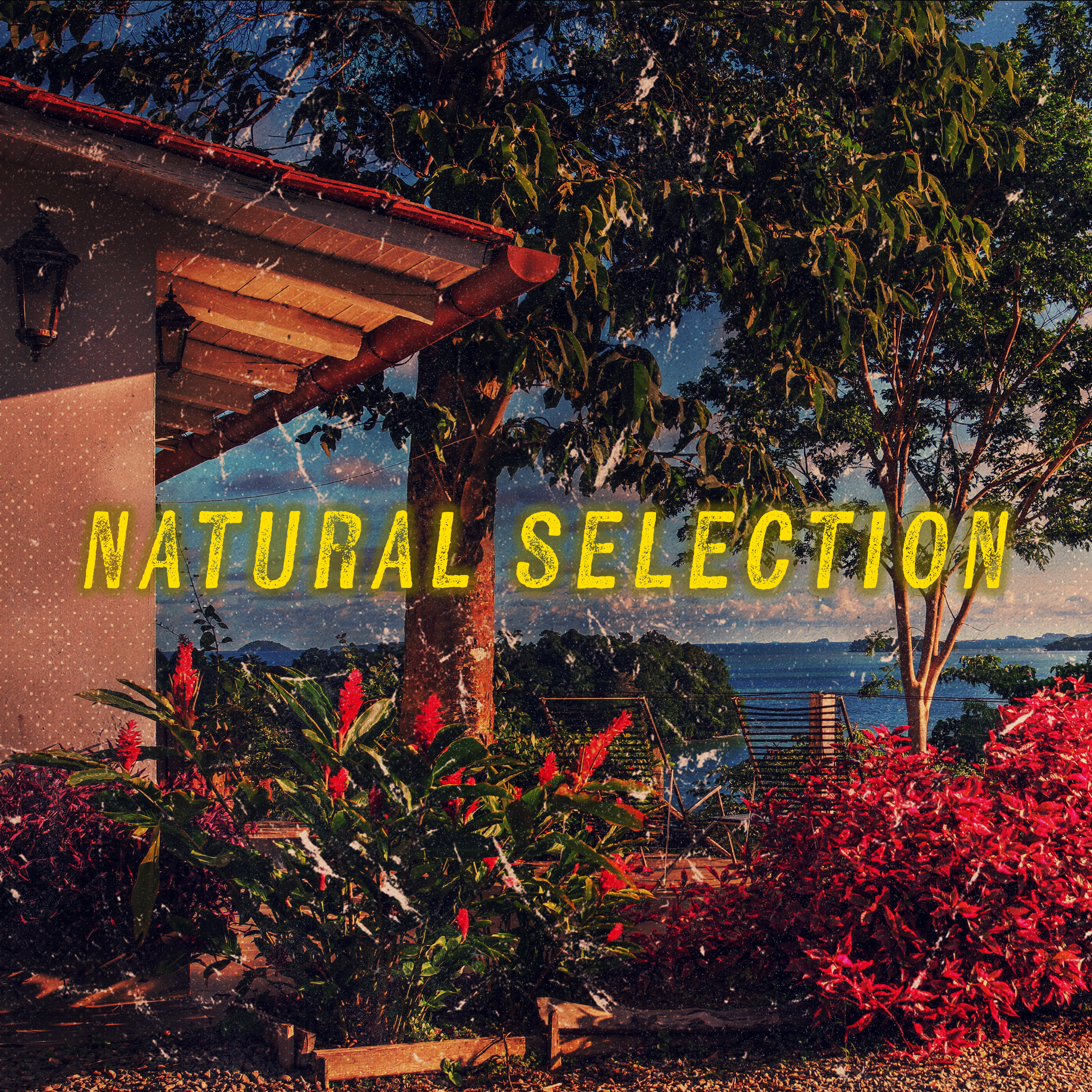 Natural Selection: Scott v. Wild Bill