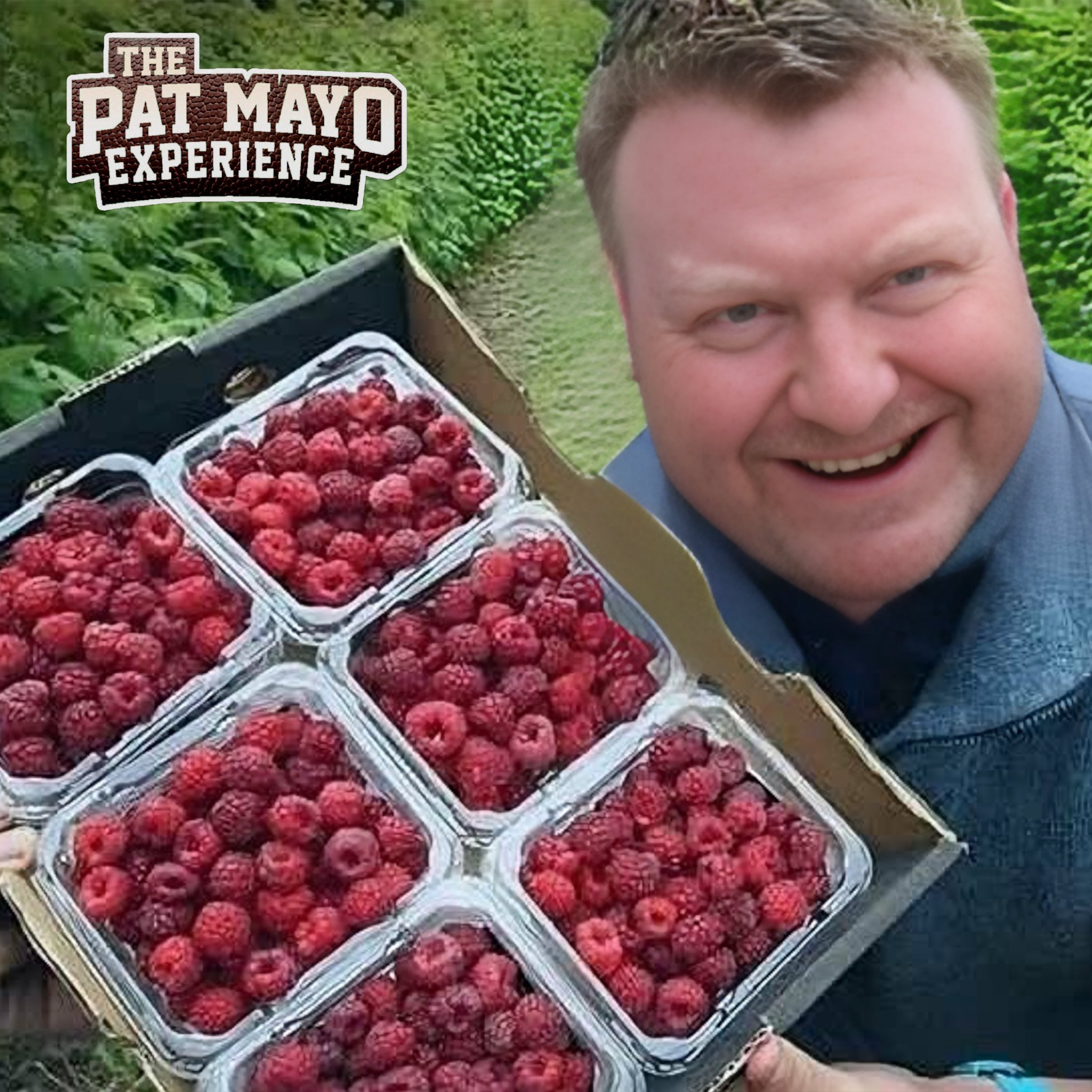 2024 NFL Week 10 Best Bets, Teaser | Week 10 NFL Game Previews