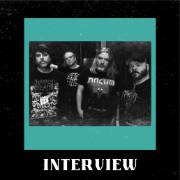 💥Culled Unleashed!💥 The Rage, the Empathy Void, the Soundtrack We Need Now! episode artwork