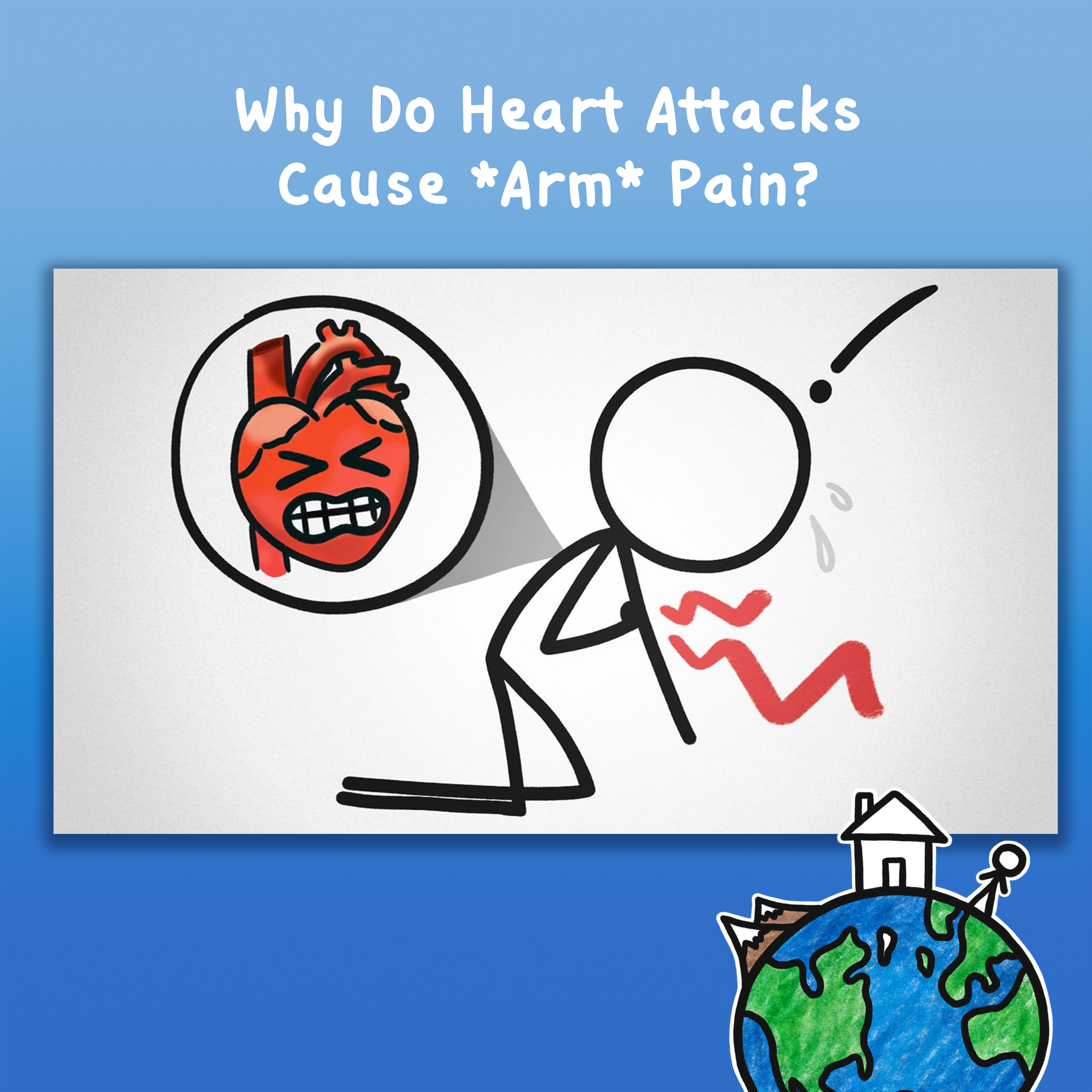 Why Do Heart Attacks Cause *Arm* Pain?