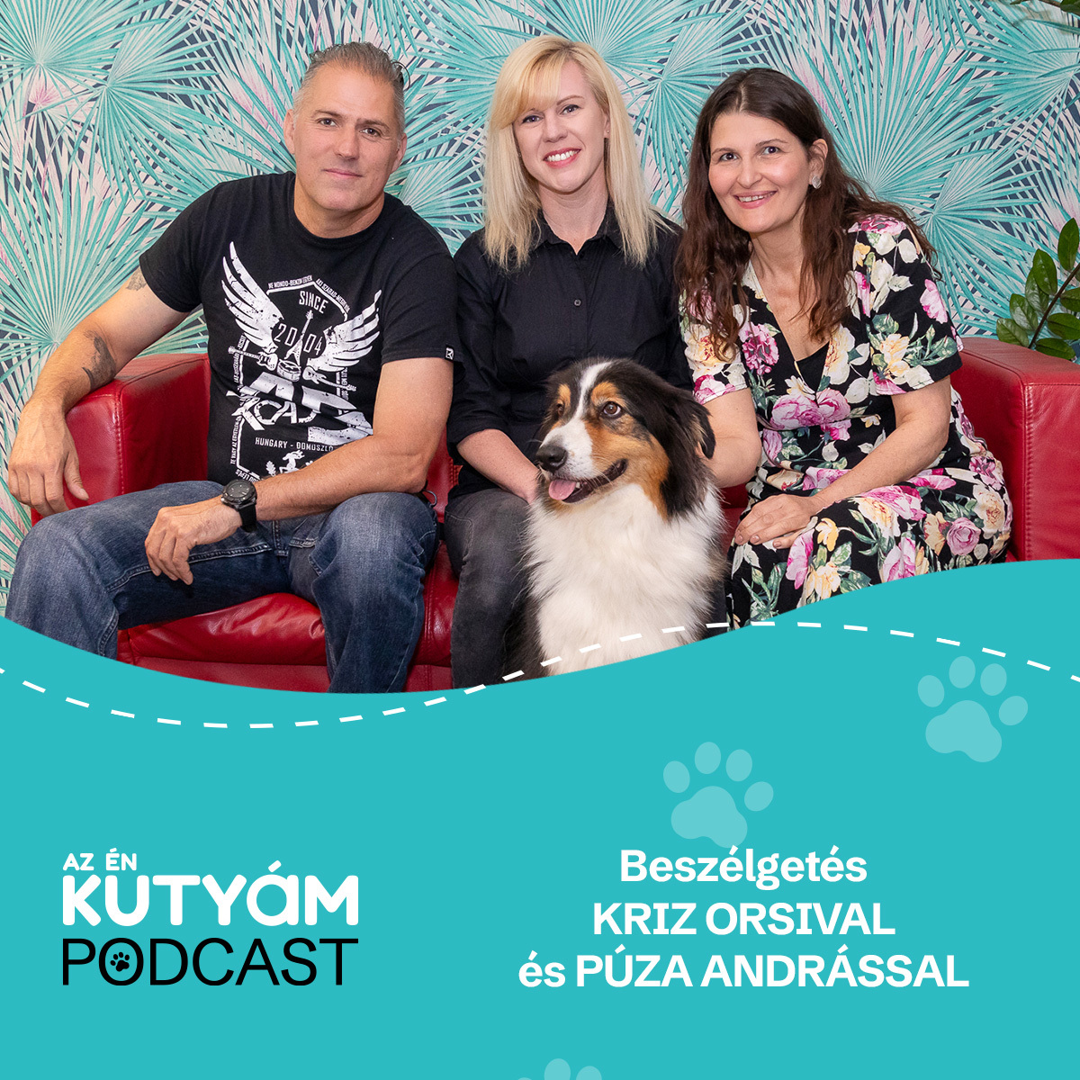 Lépjünk ki a komfortzónánkból! - kutyás sportok az agilityn túl