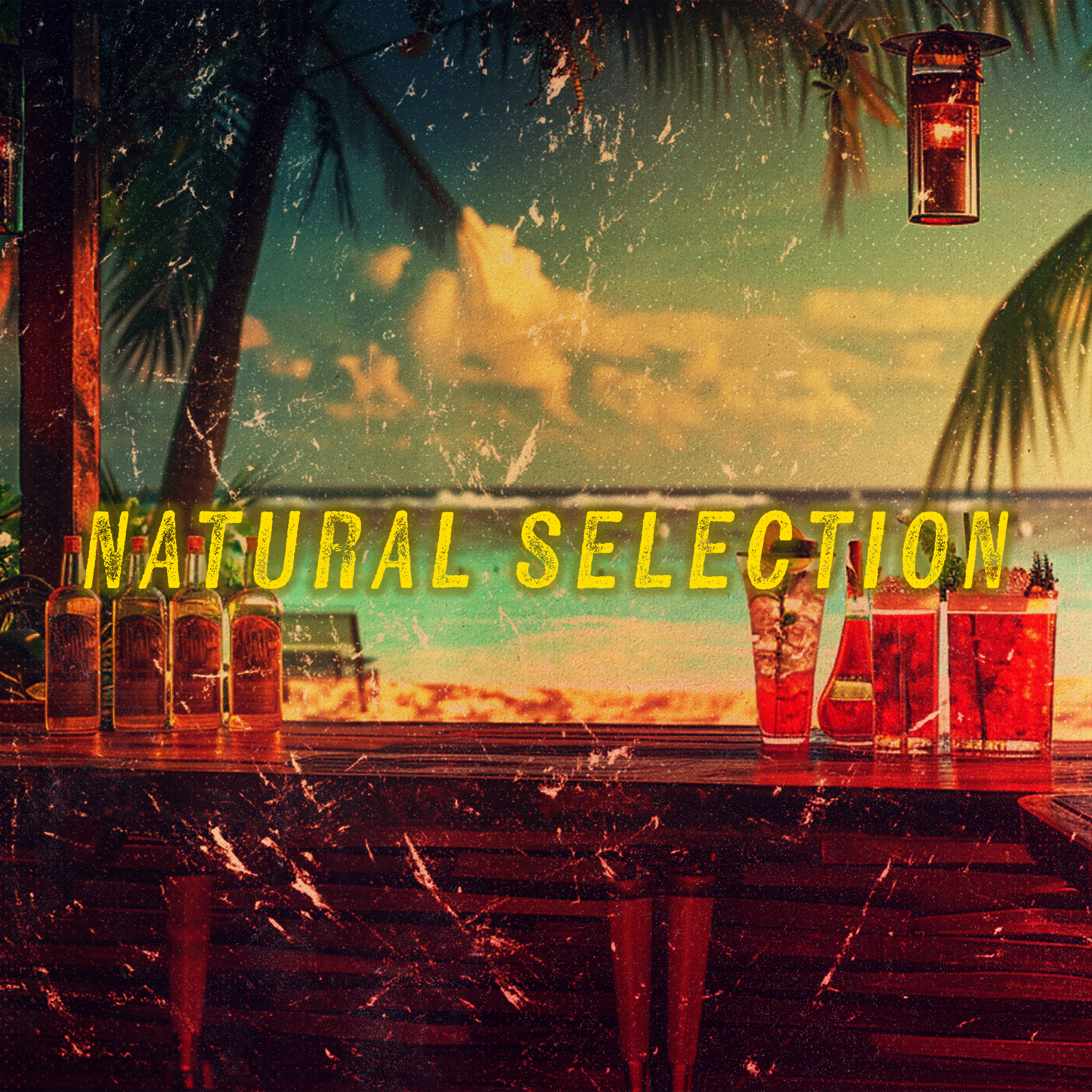 Natural Selection: Scott v. Wild Bill