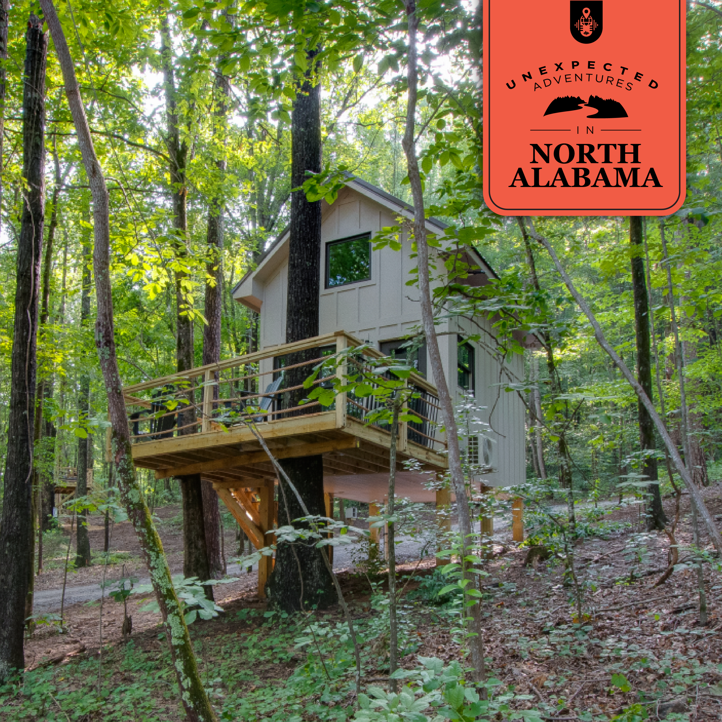 71: Relax At ReTreet: Luxury Glamping for Everyone episode artwork
