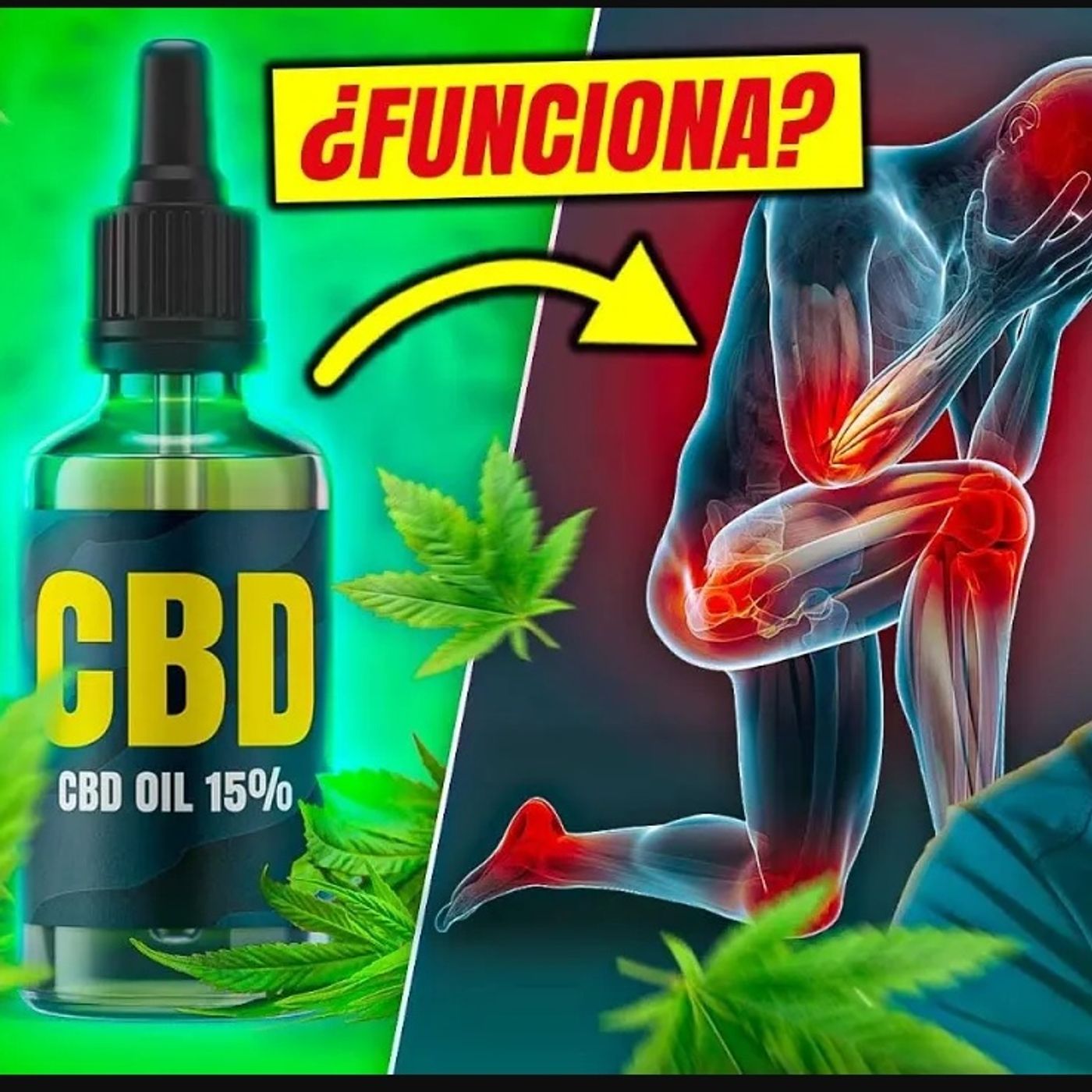 Portada de Dr. Borja Bandera
