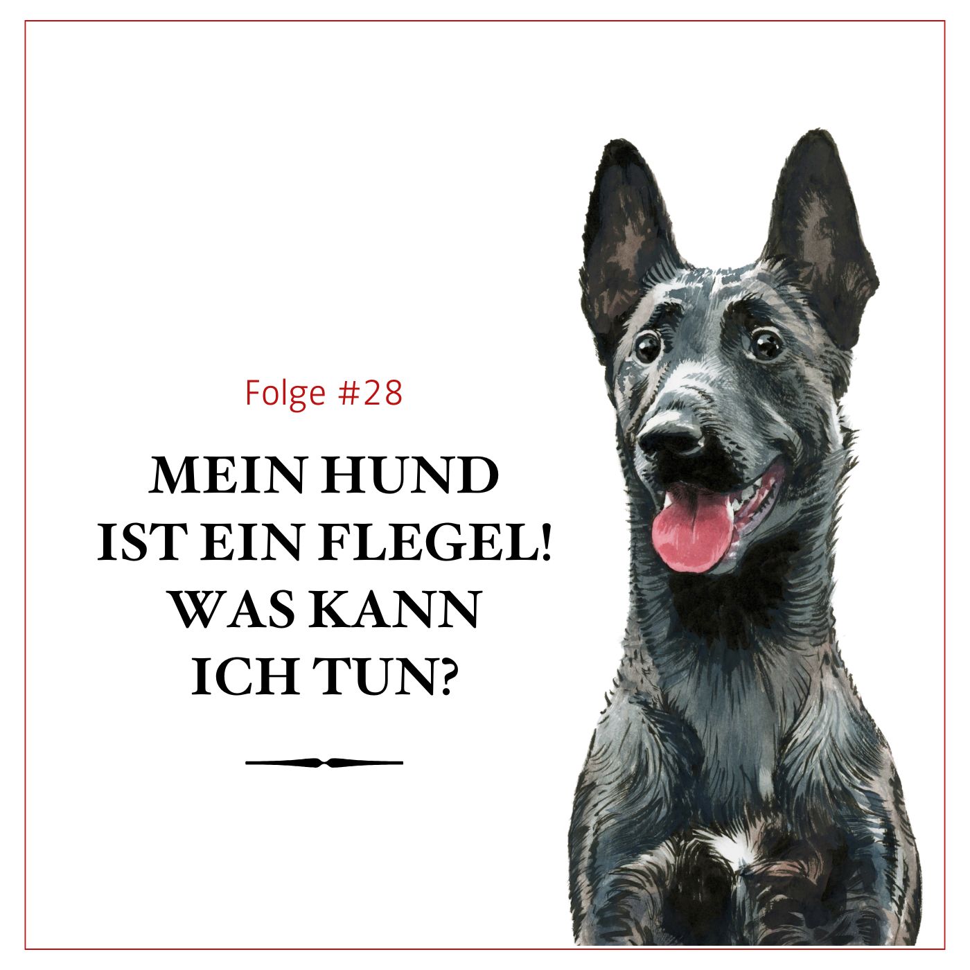 Mein Hund ist ein Flegel! Was kann ich tun? – #28