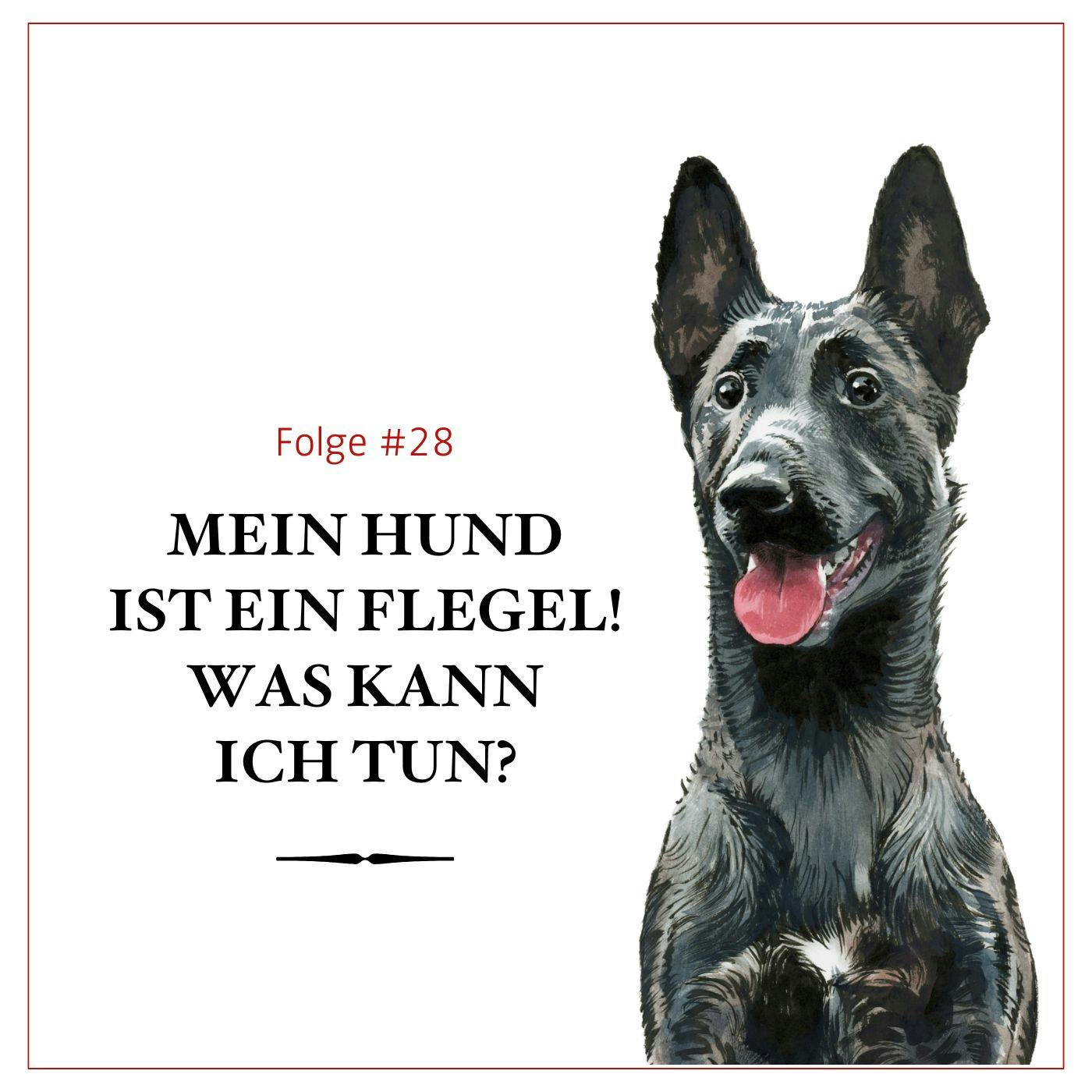 Mein Hund ist ein Flegel! Was kann ich tun? – #28 Mein Hund ist ein Flegel! Was kann ich tun? – #28