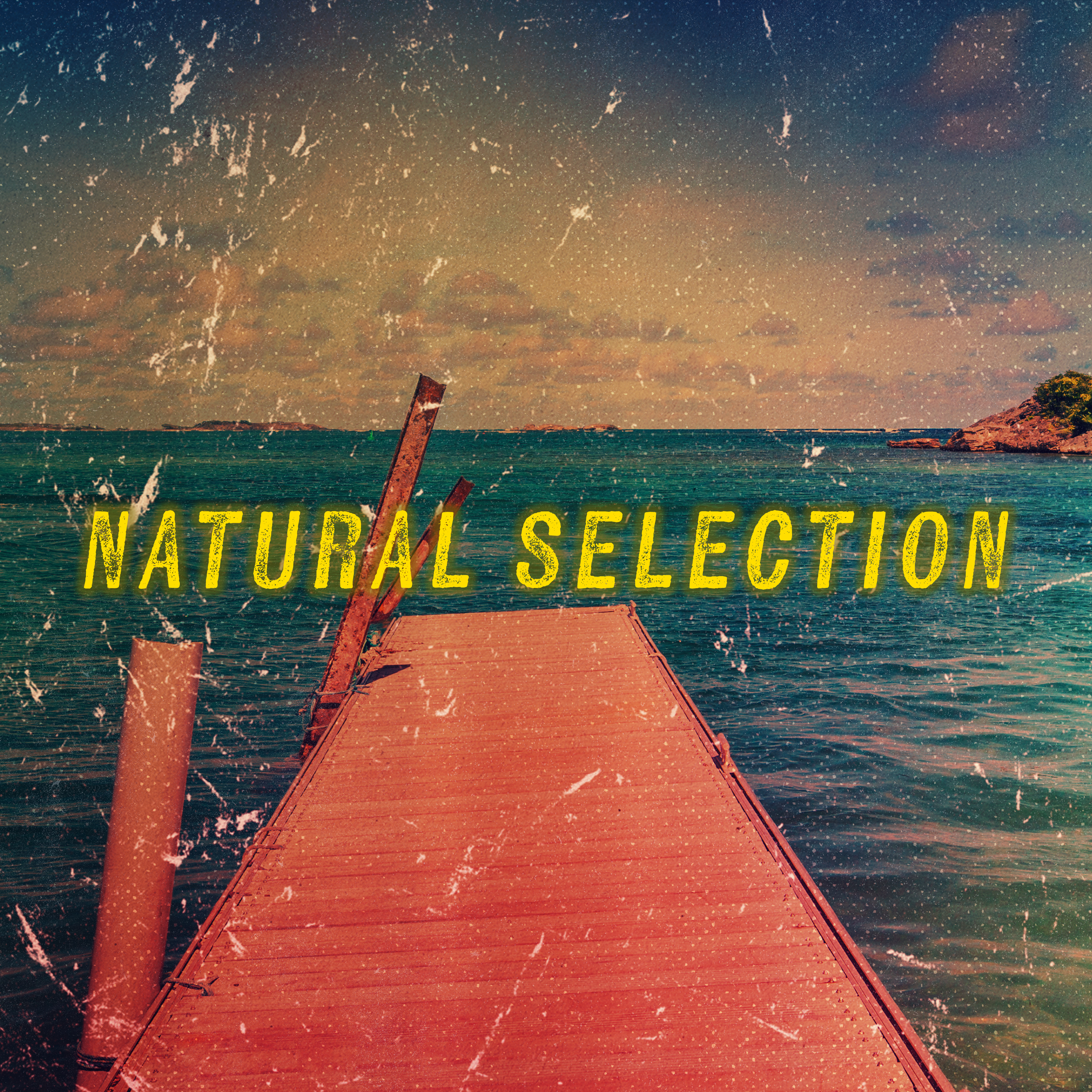 Natural Selection: Scott v. Wild Bill