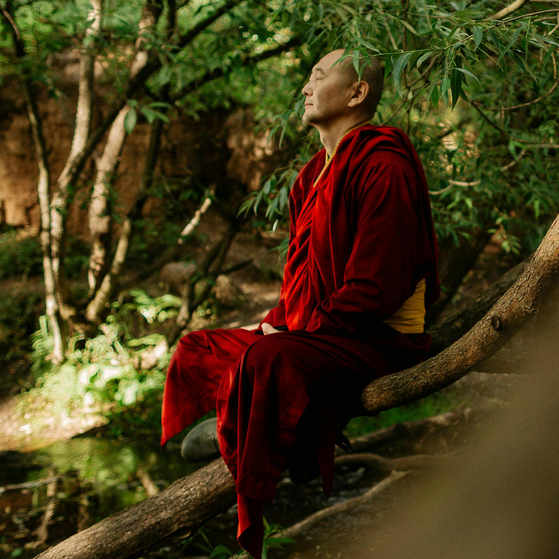 Every Minute Zen Every Minute Zen