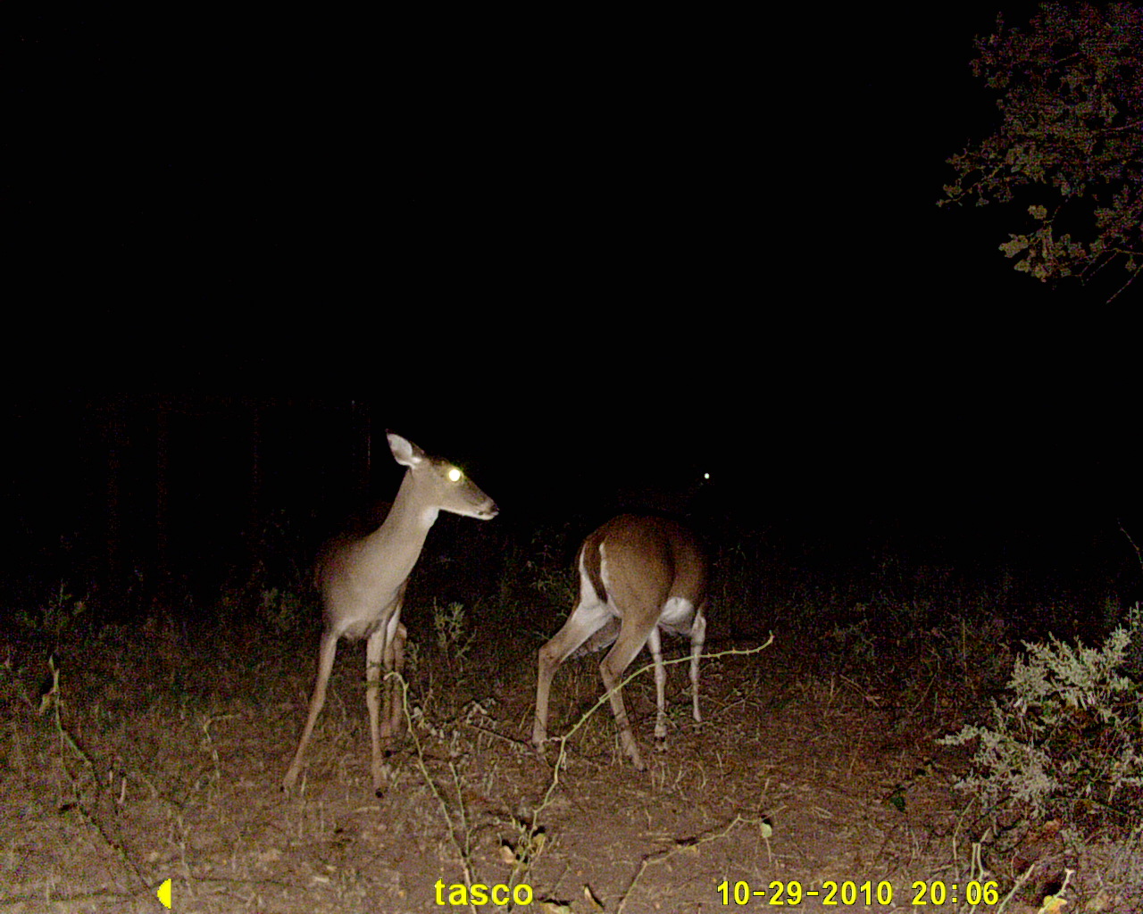 This Month In Texas History - April