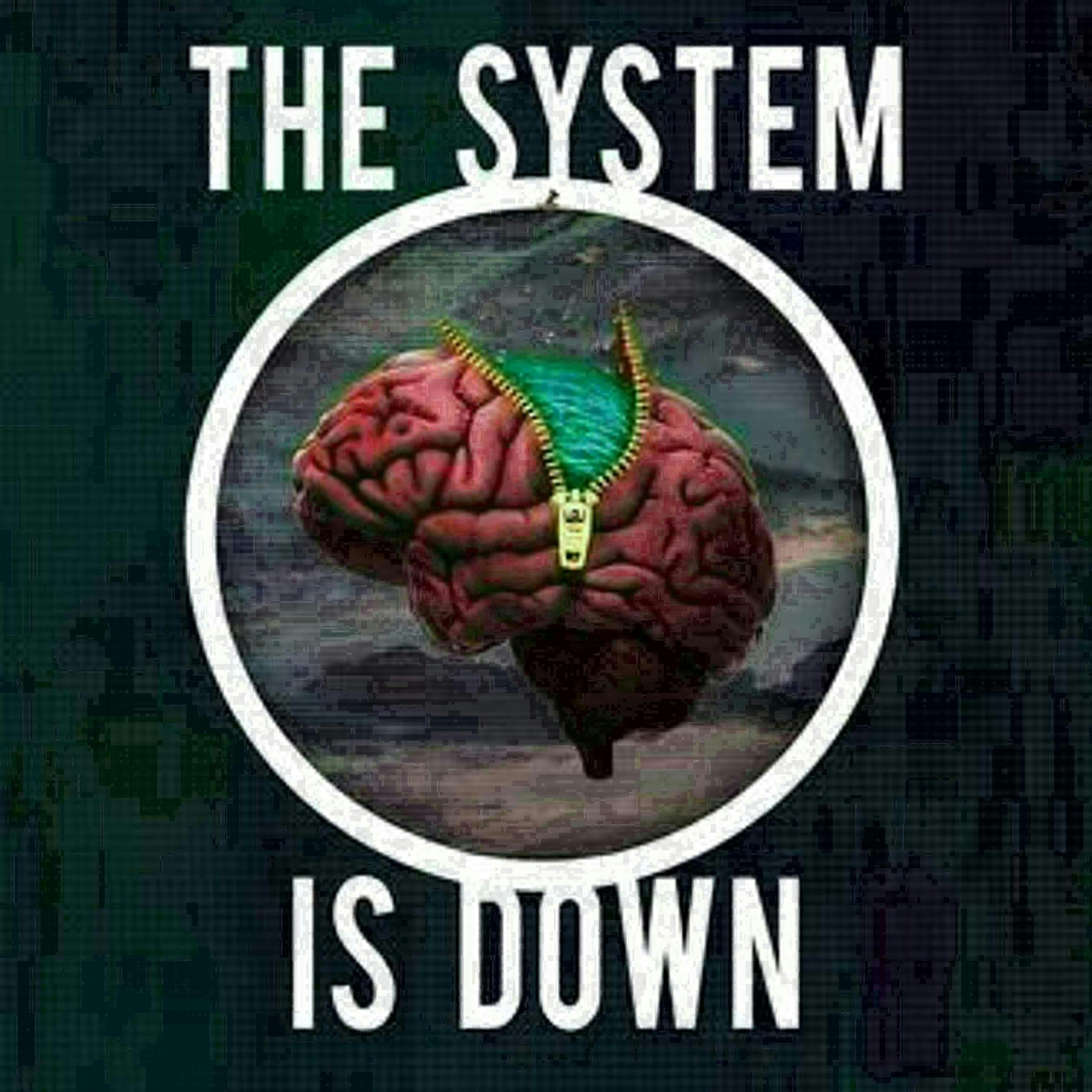 160 - Dan Smotz from The System is Down talks Covid Conspiracies