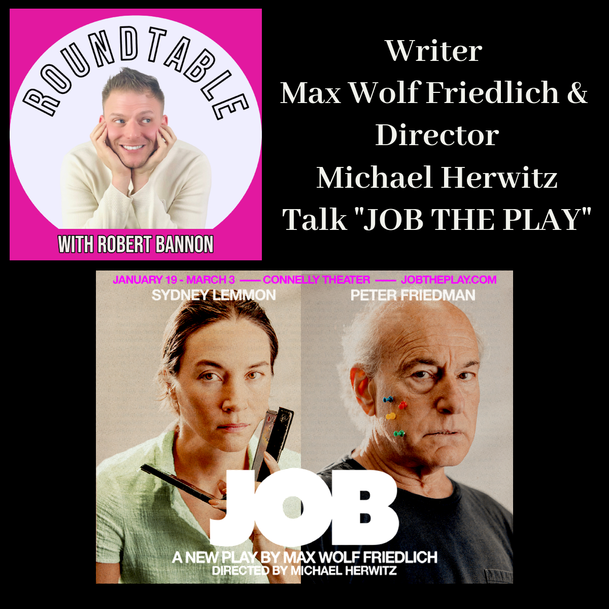 Writer Max Wolf Friedlich & Director Michael Herwitz Talk "JOB THE PLAY"