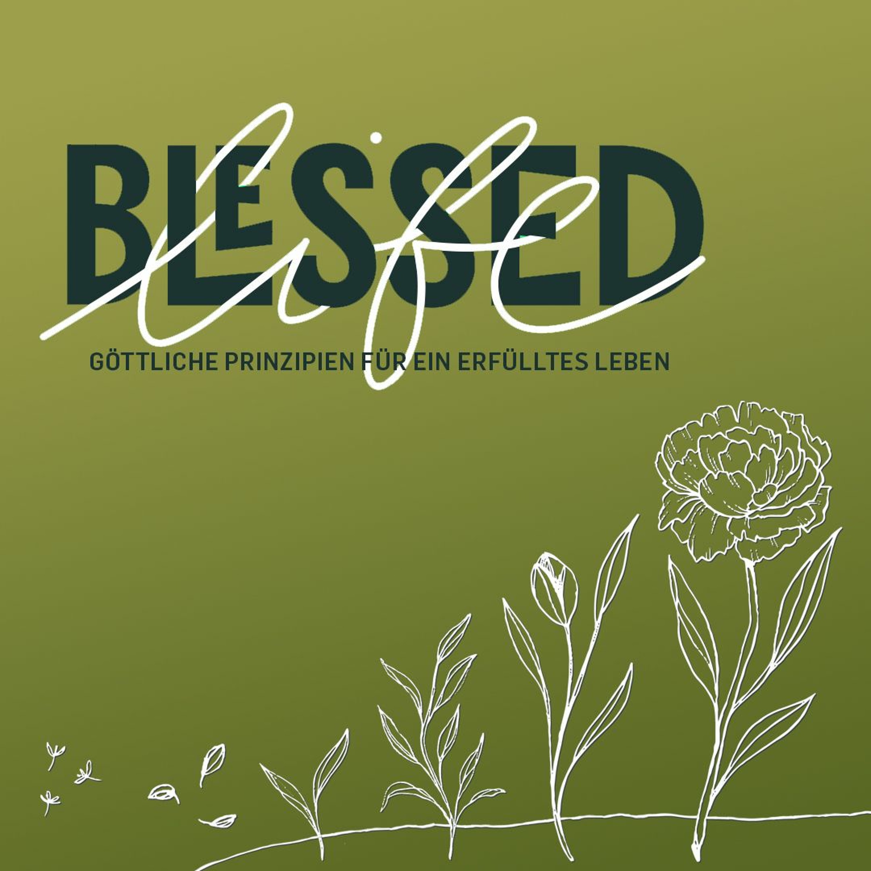 [2020 - 08 - 23] #BlessedLife Großzügigkeit (Stefan Hänsch) episode artwork
