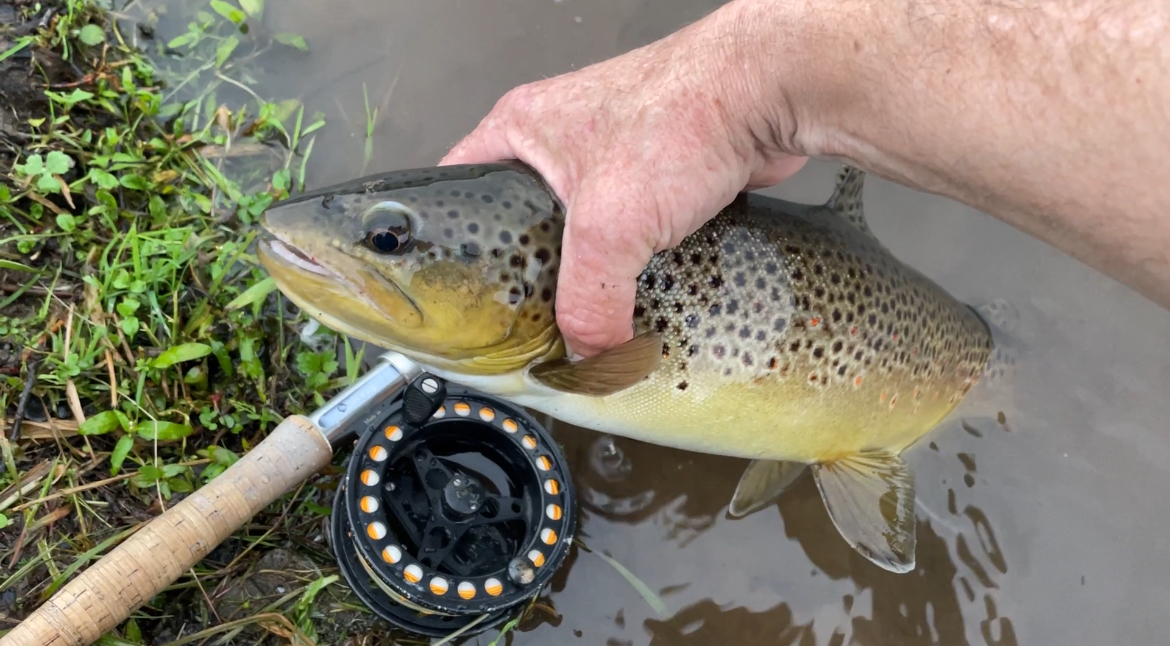 Fly Fishing Consultant Podcast