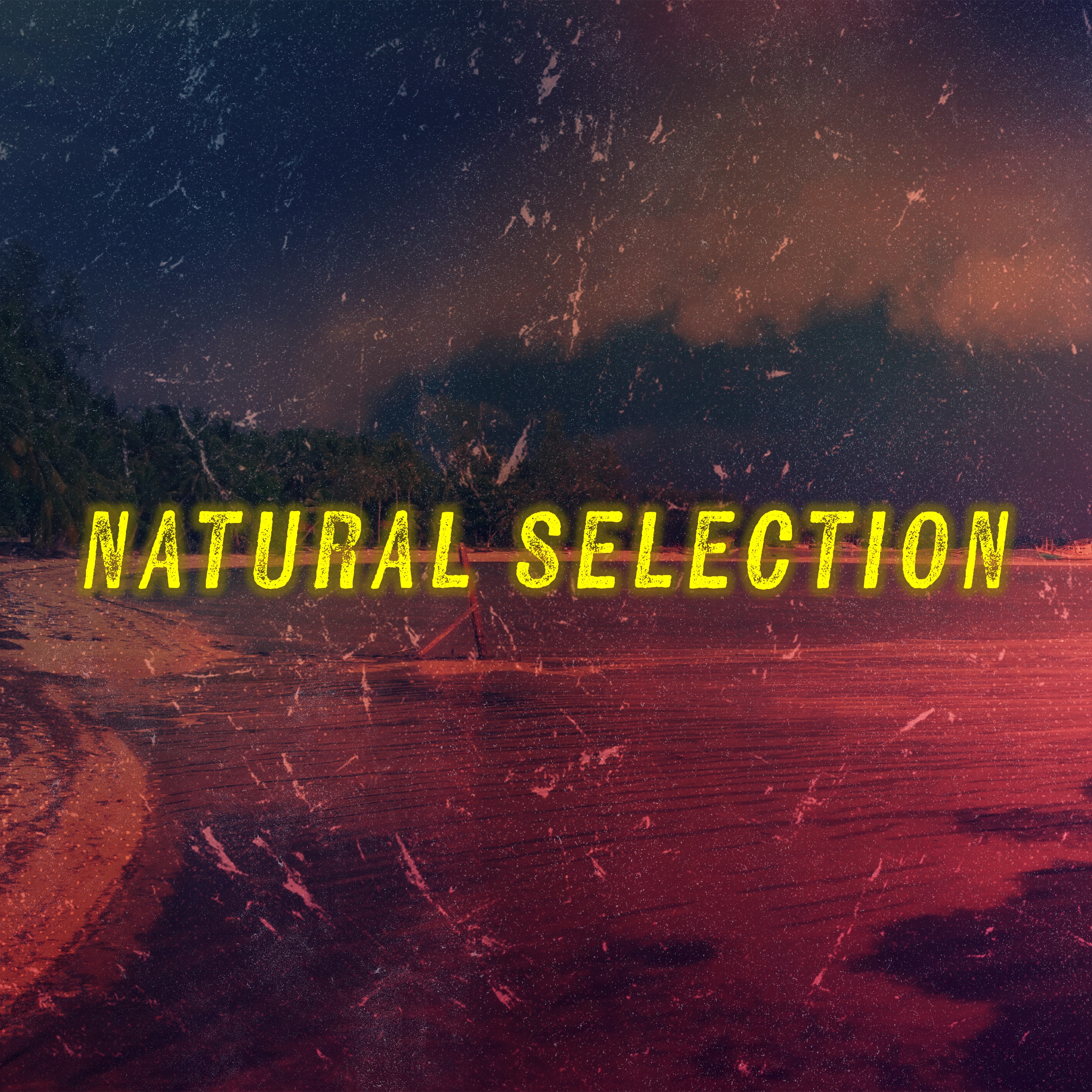 Natural Selection: Scott v. Wild Bill