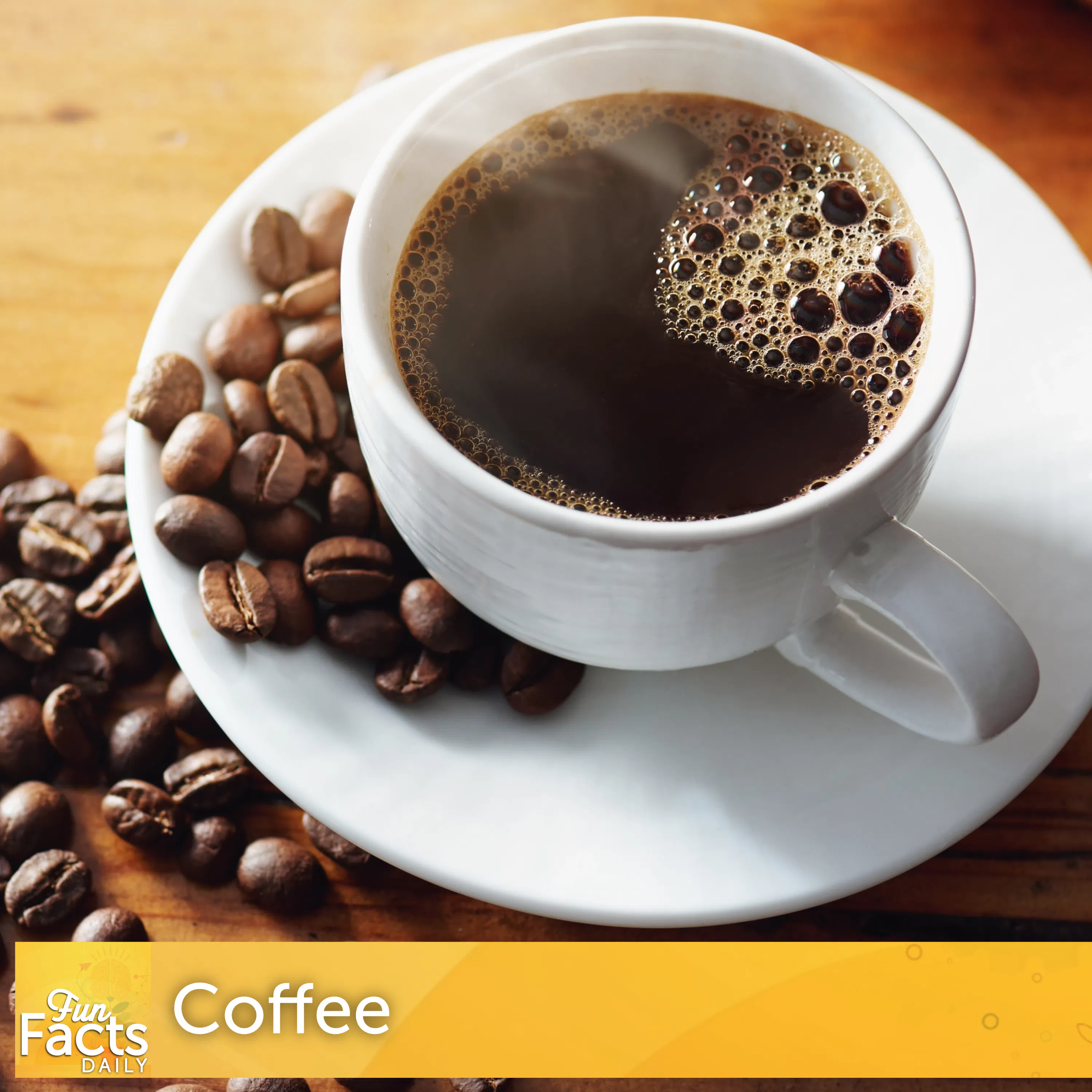 Fun Facts About Coffee episode artwork