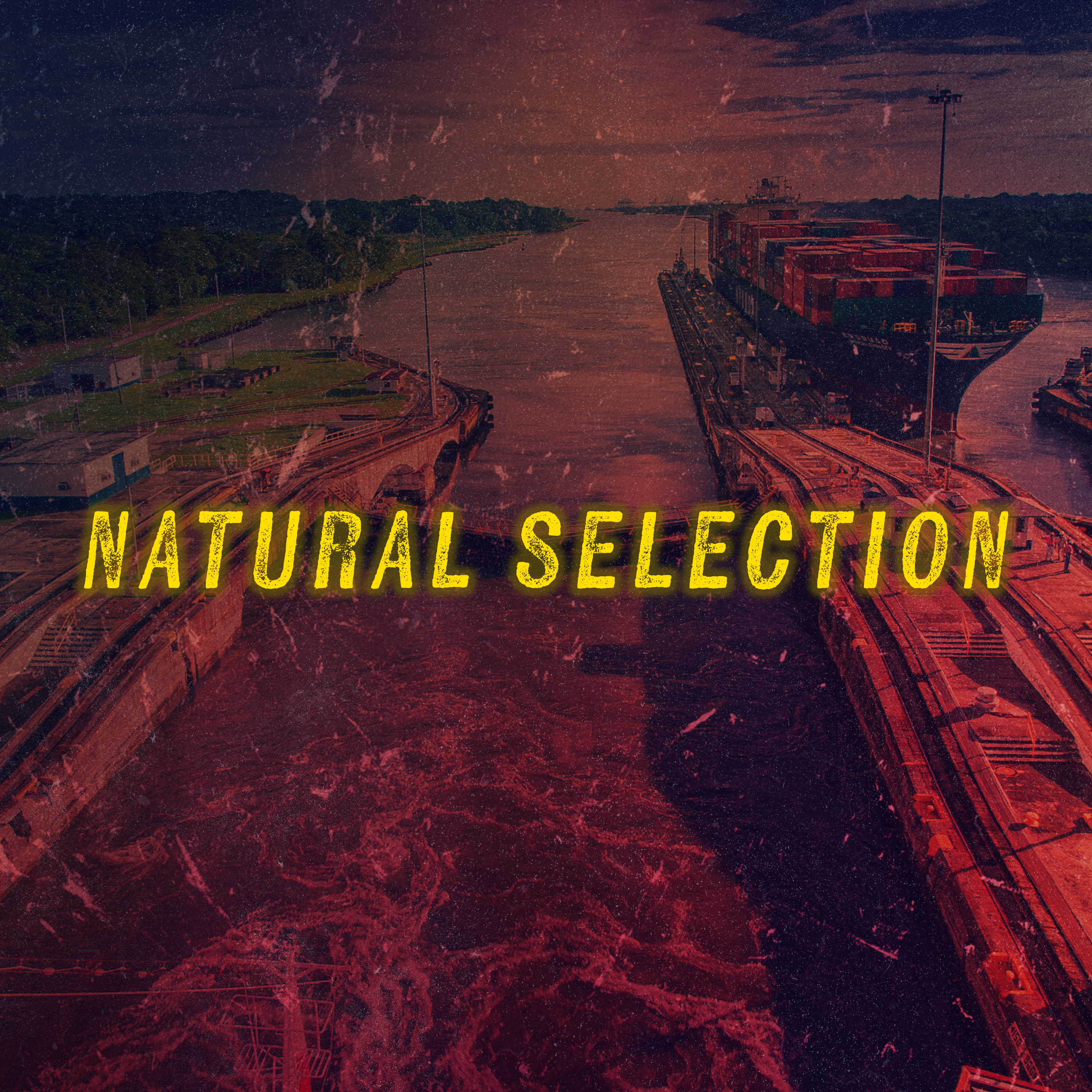 Natural Selection: Scott v. Wild Bill