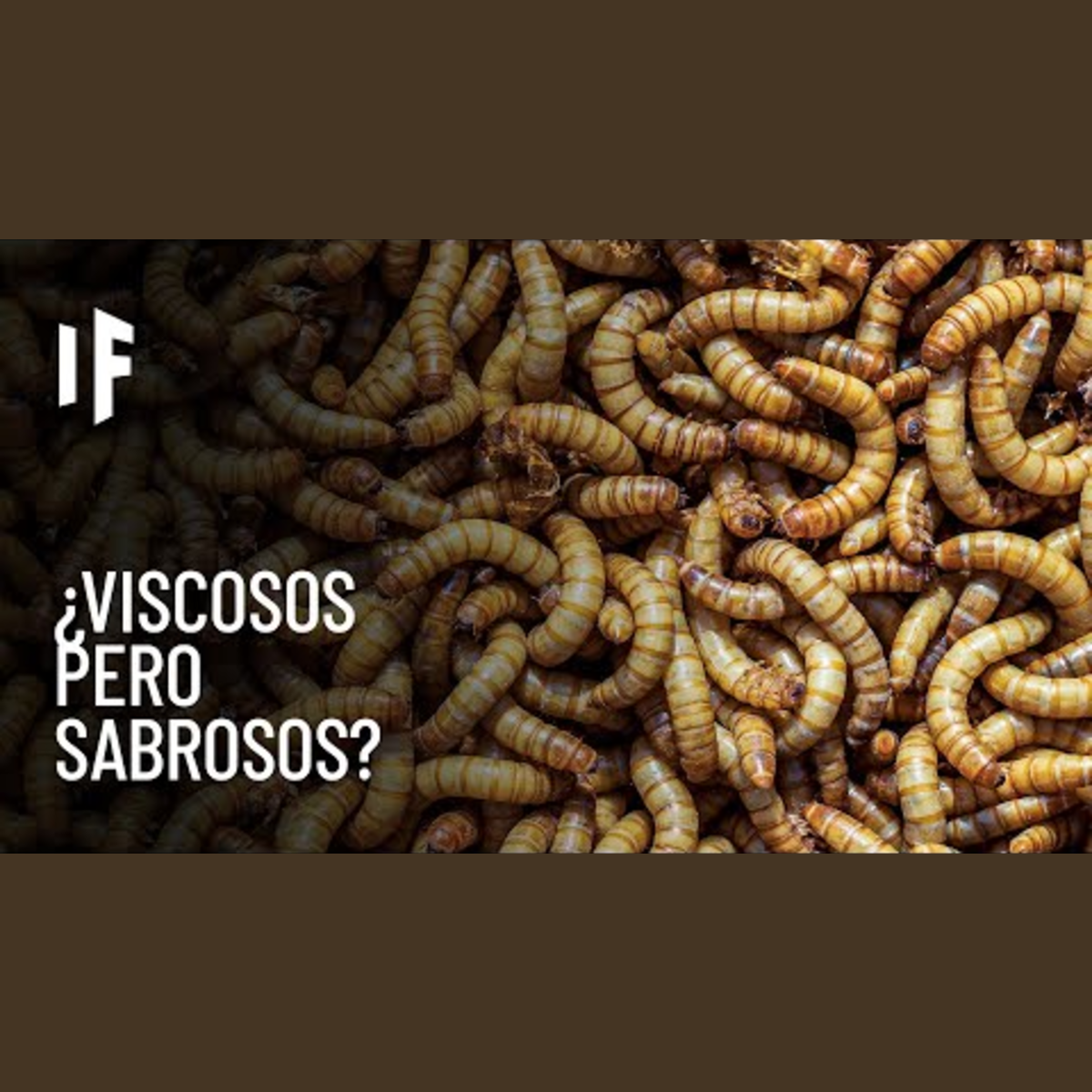 ¿Qué pasaría si te comieras un millón de gusanos de la harina? episode artwork