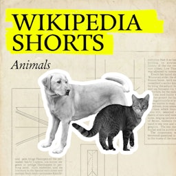 Wikipedia Shorts: Animals