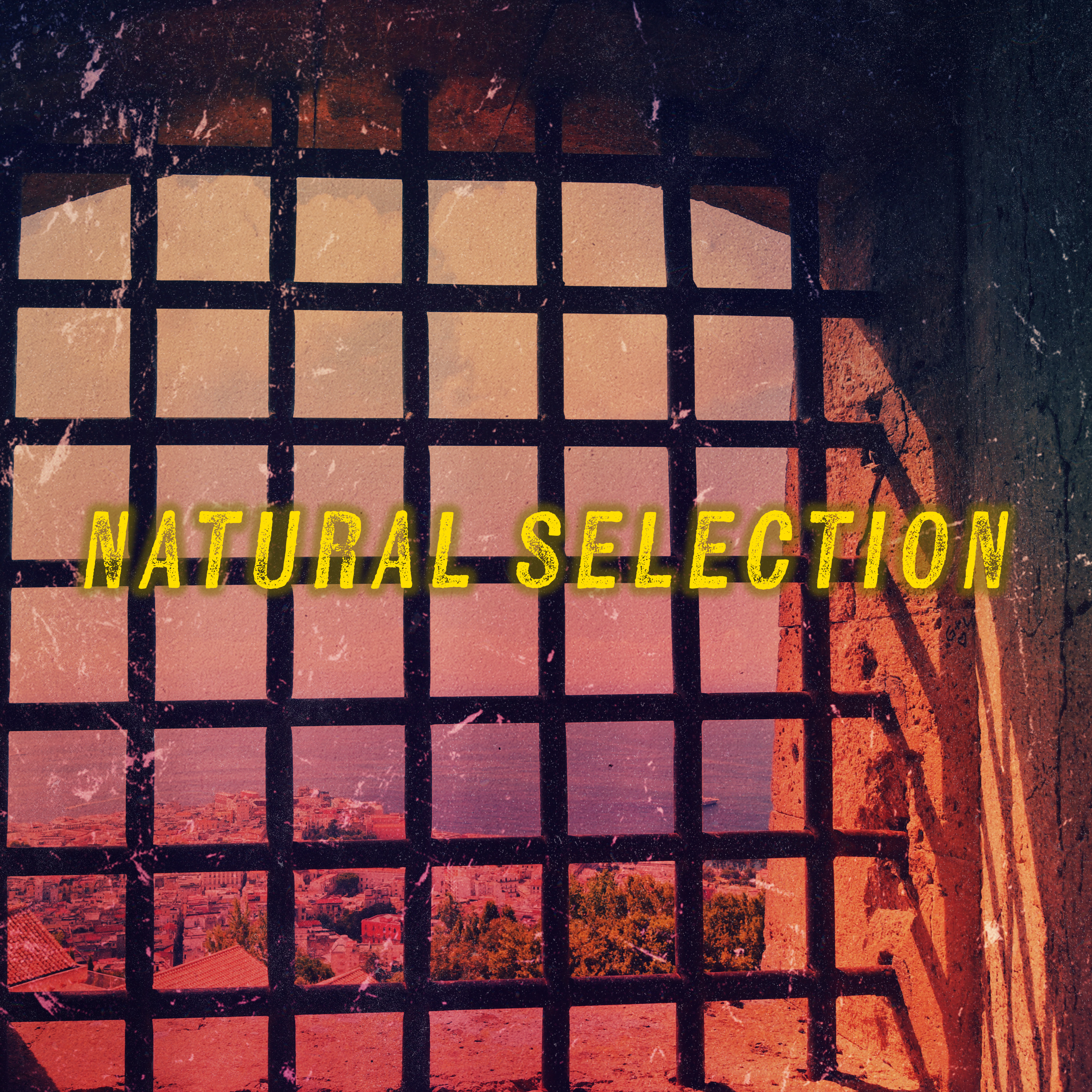 Natural Selection: Scott v. Wild Bill