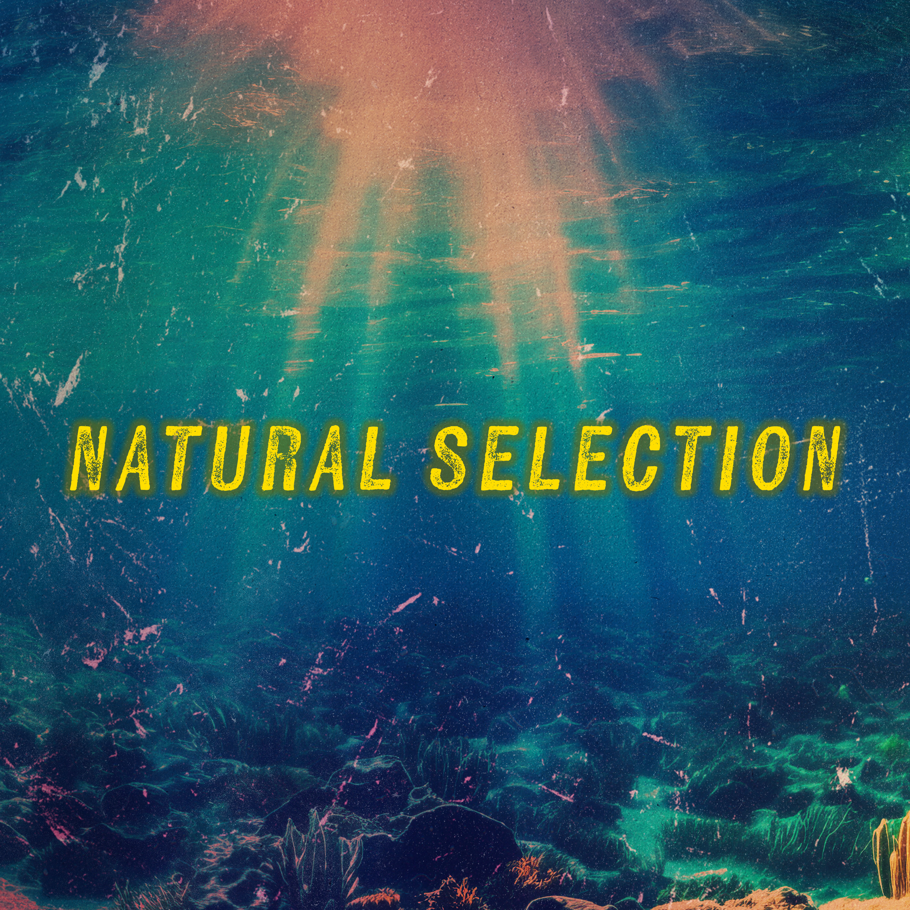 Natural Selection: Scott v. Wild Bill