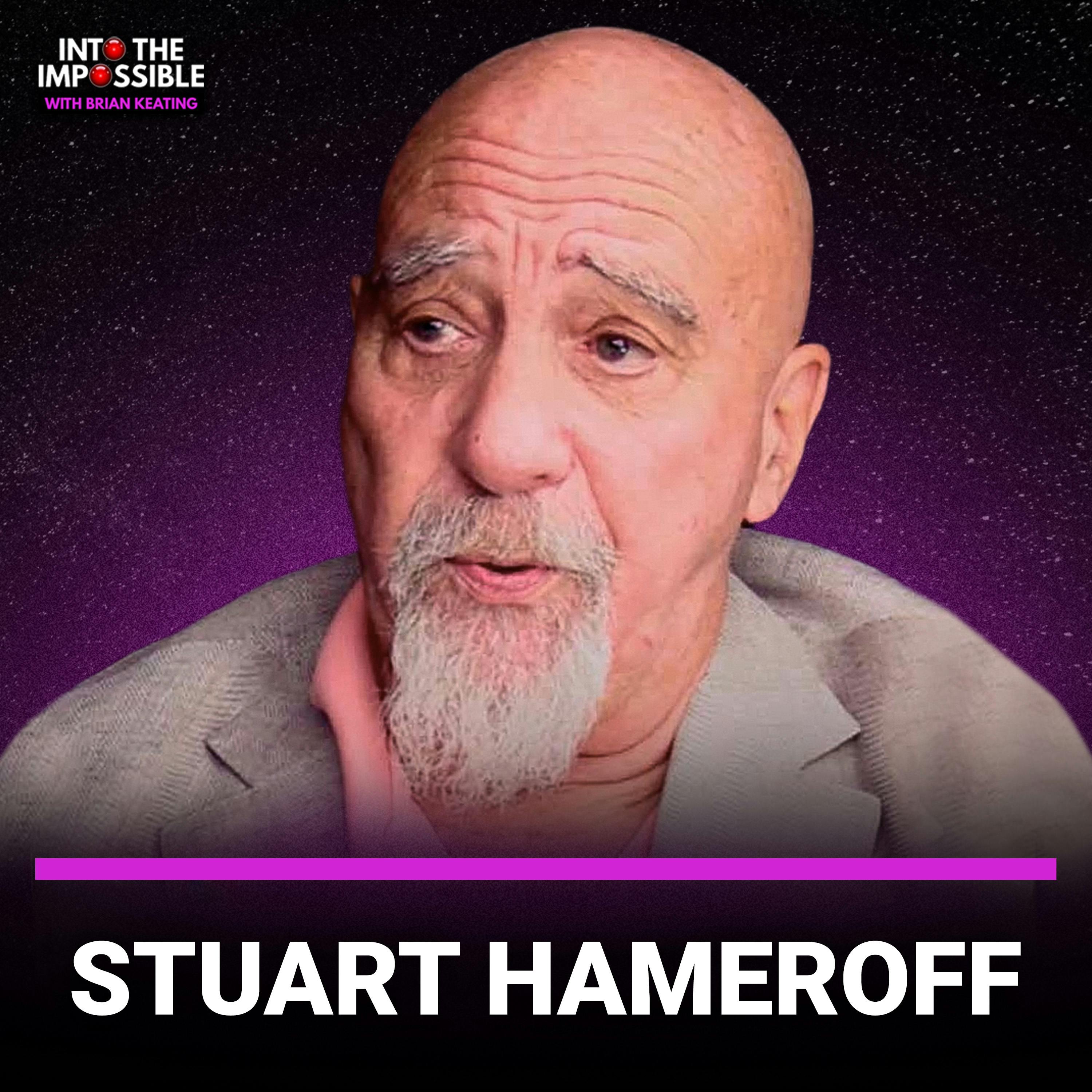 Stuart Hameroff: Is the Human Brain a Quantum Computer? (#353)