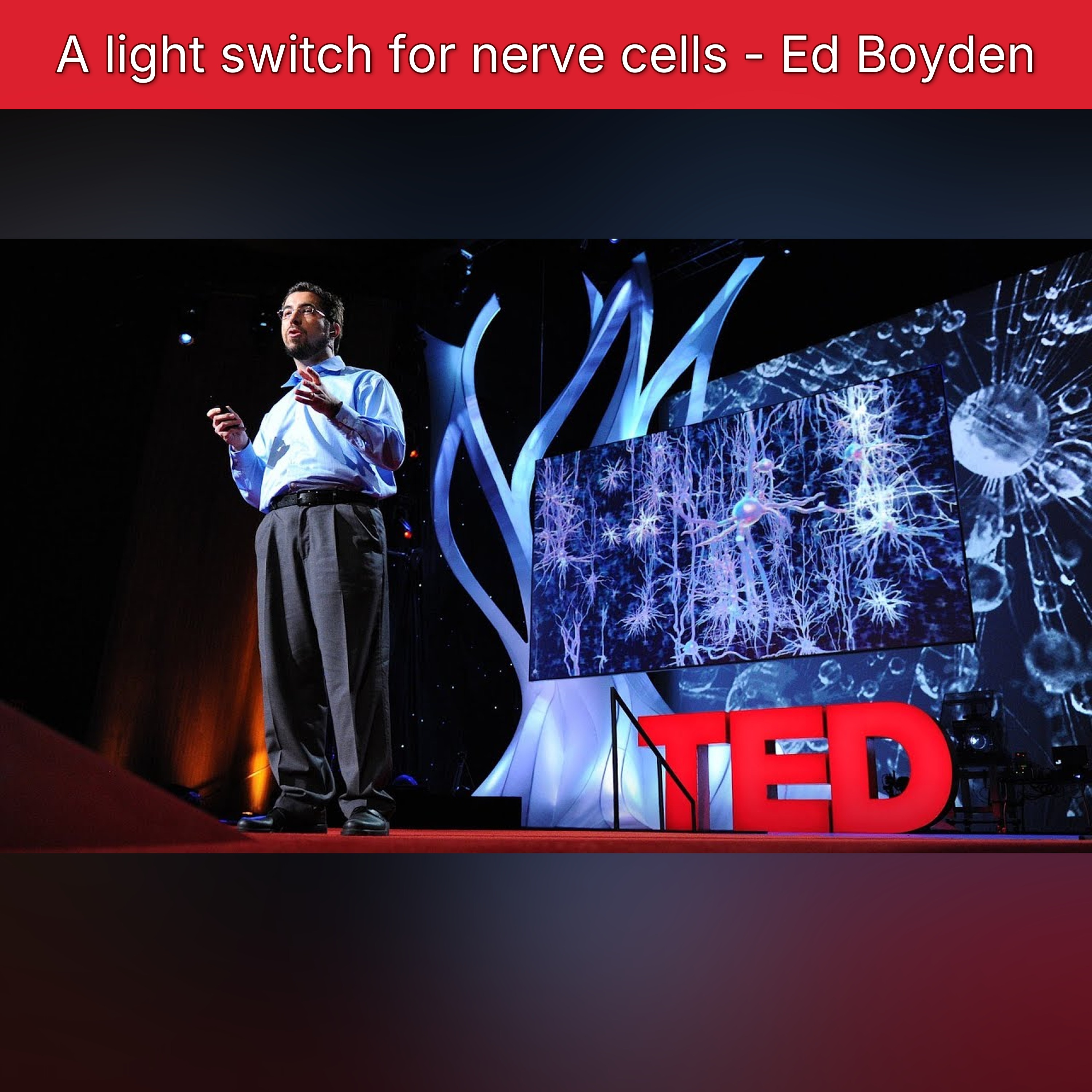 TED-Ed
