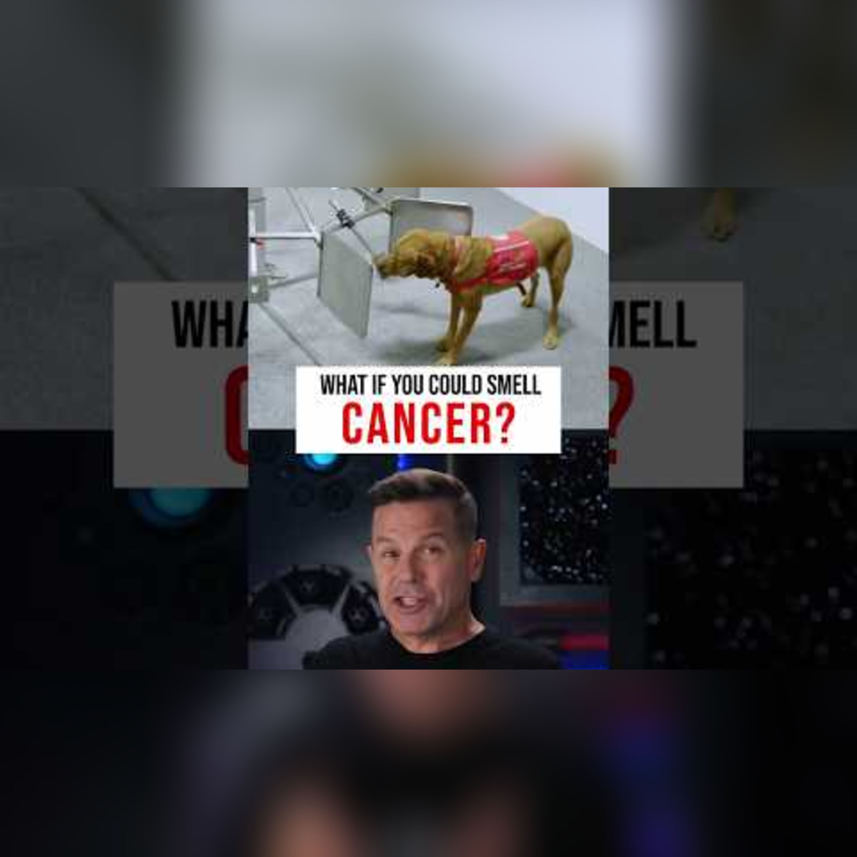 What If You Could Smell Cancer? episode artwork