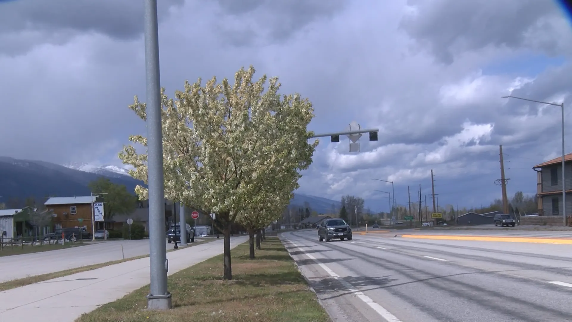 Trees along Highway 93 through Victor, signs of community, history of volunteers episode artwork