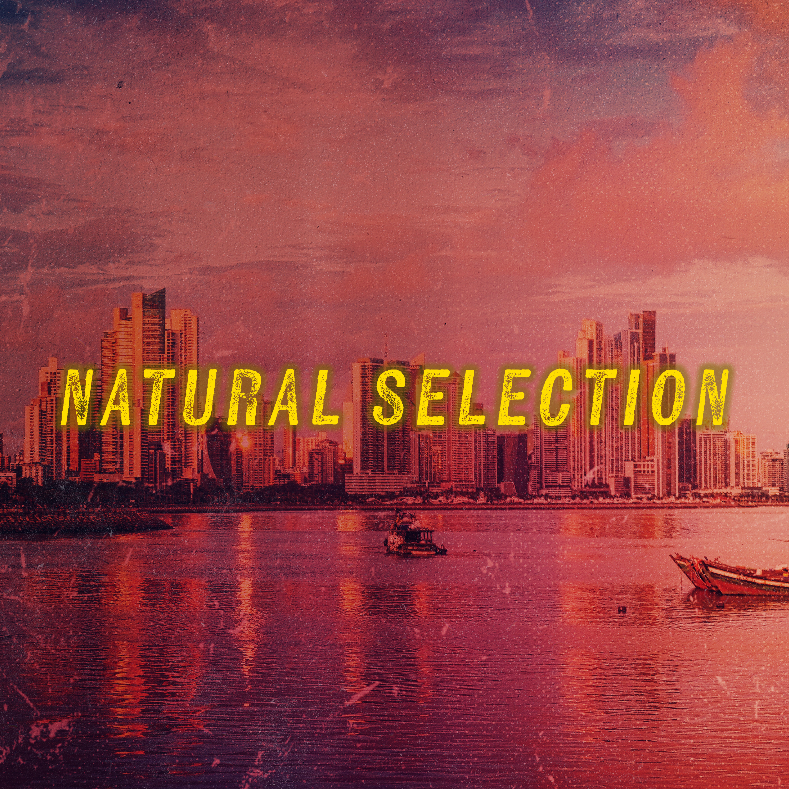 Natural Selection: Scott v. Wild Bill