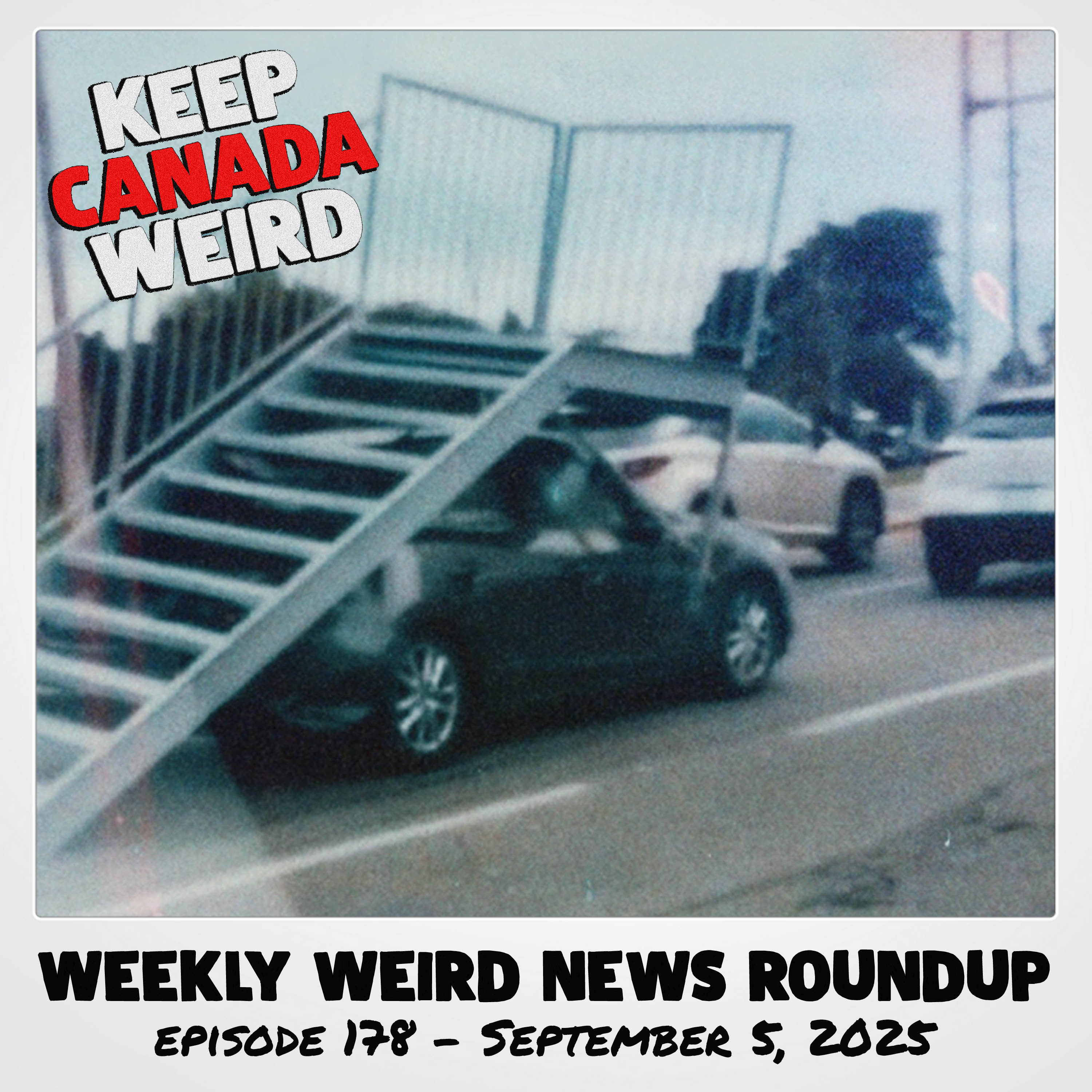 KEEP CANADA WEIRD - 178 - 2025/09/04 - STAIRS, Francis the Pig, downspouts, and a beat down