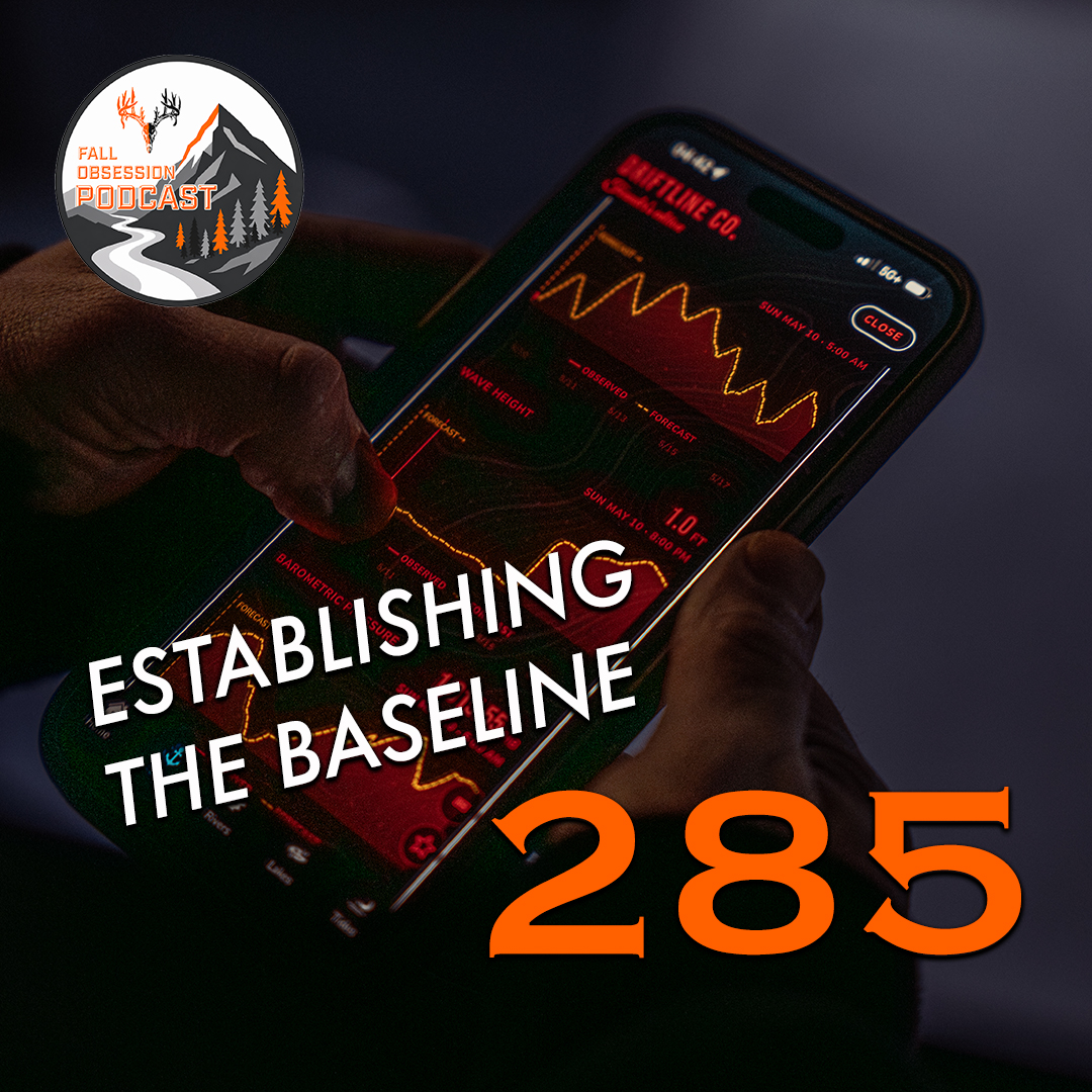 Ep. 285 "Establishing the Baseline" with Casey Chamberlin