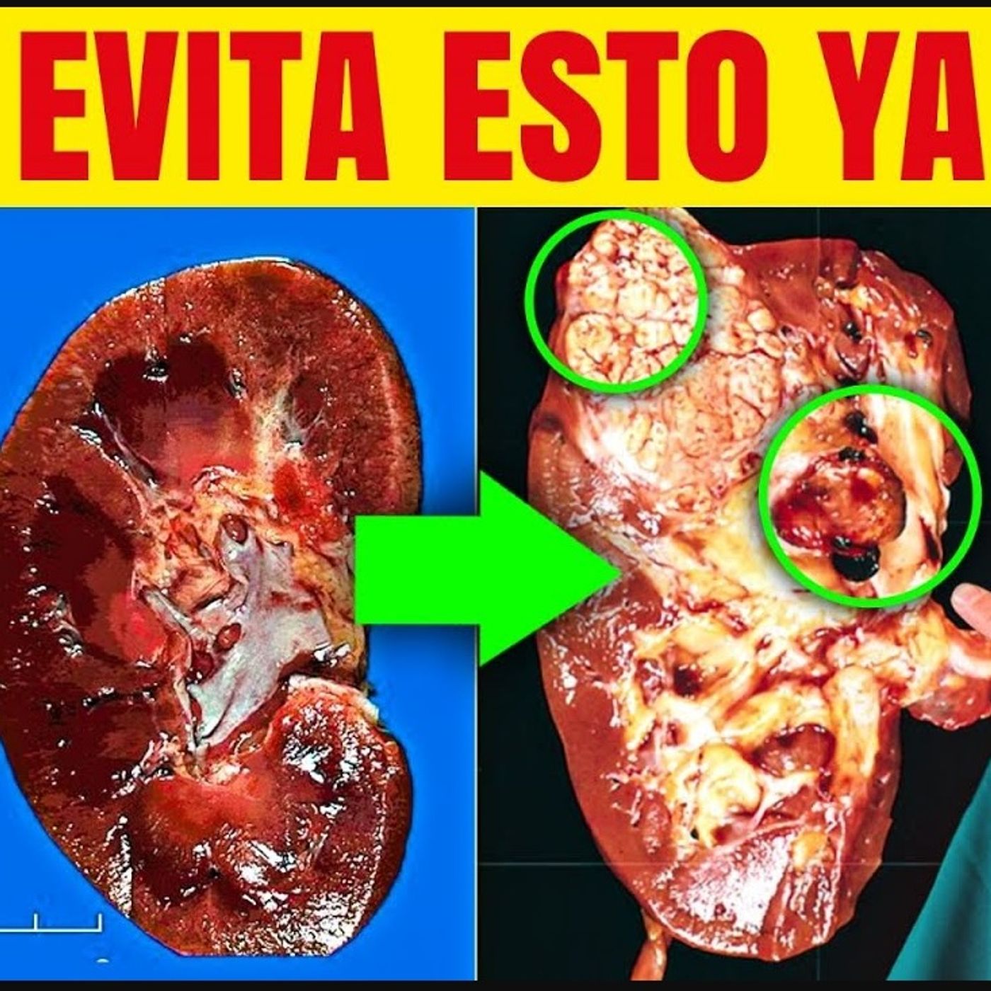Portada de Dr. Borja Bandera