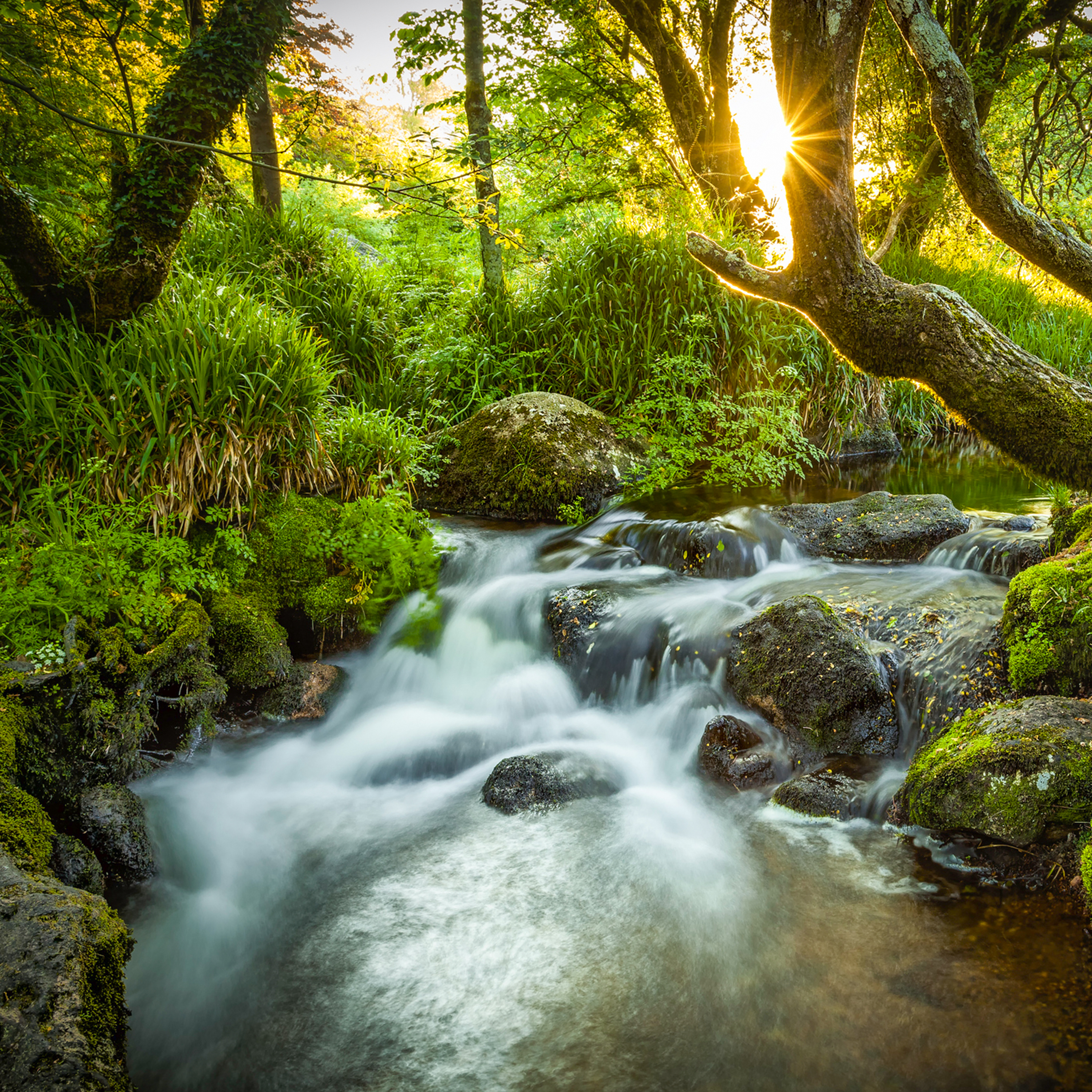 Sound Escape 210. The refreshing sound of rushing Dartmoor stream