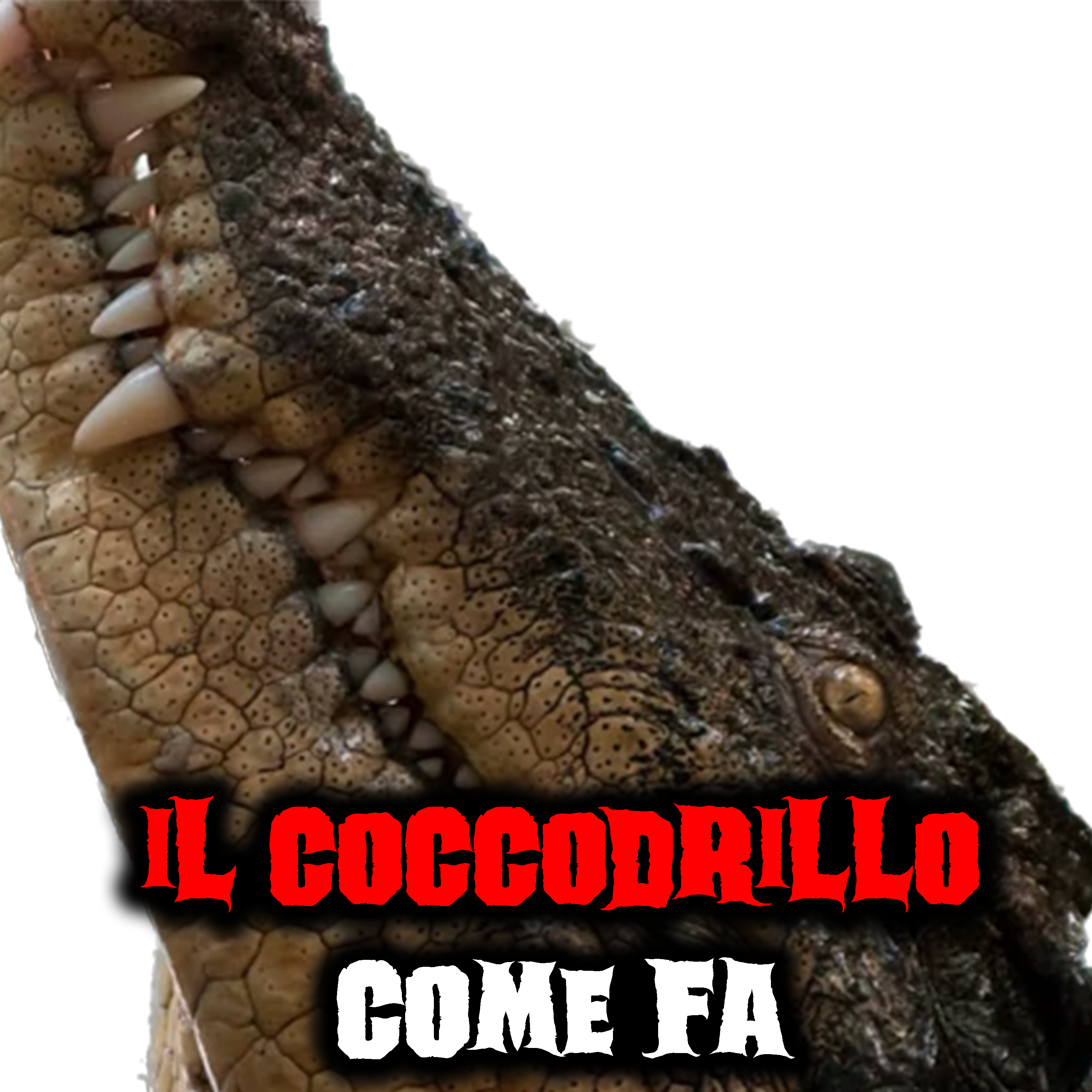 Il coccodrillo come fa - Racconti Horror episode artwork