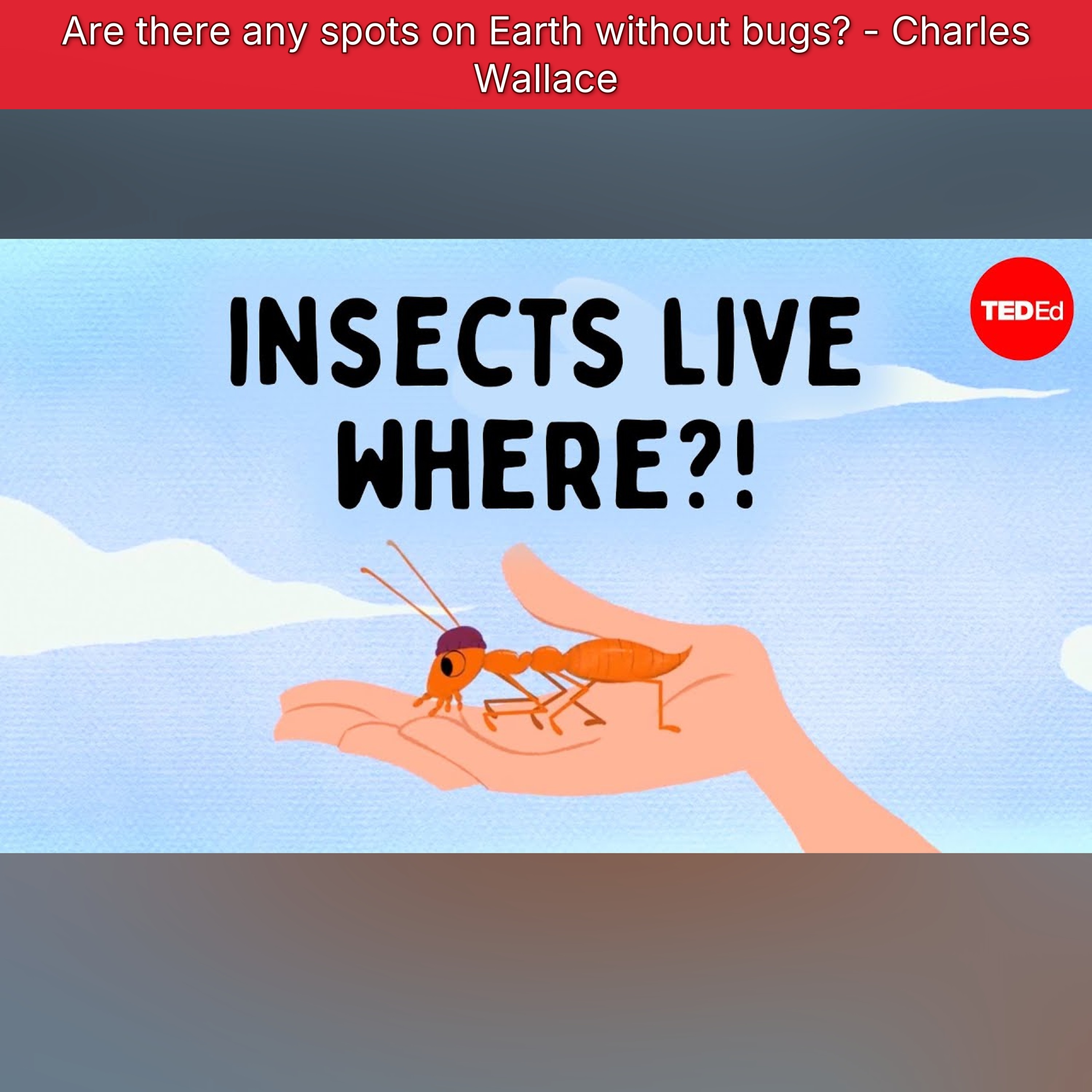 Are there any spots on Earth without bugs? - Charles Wallace episode artwork