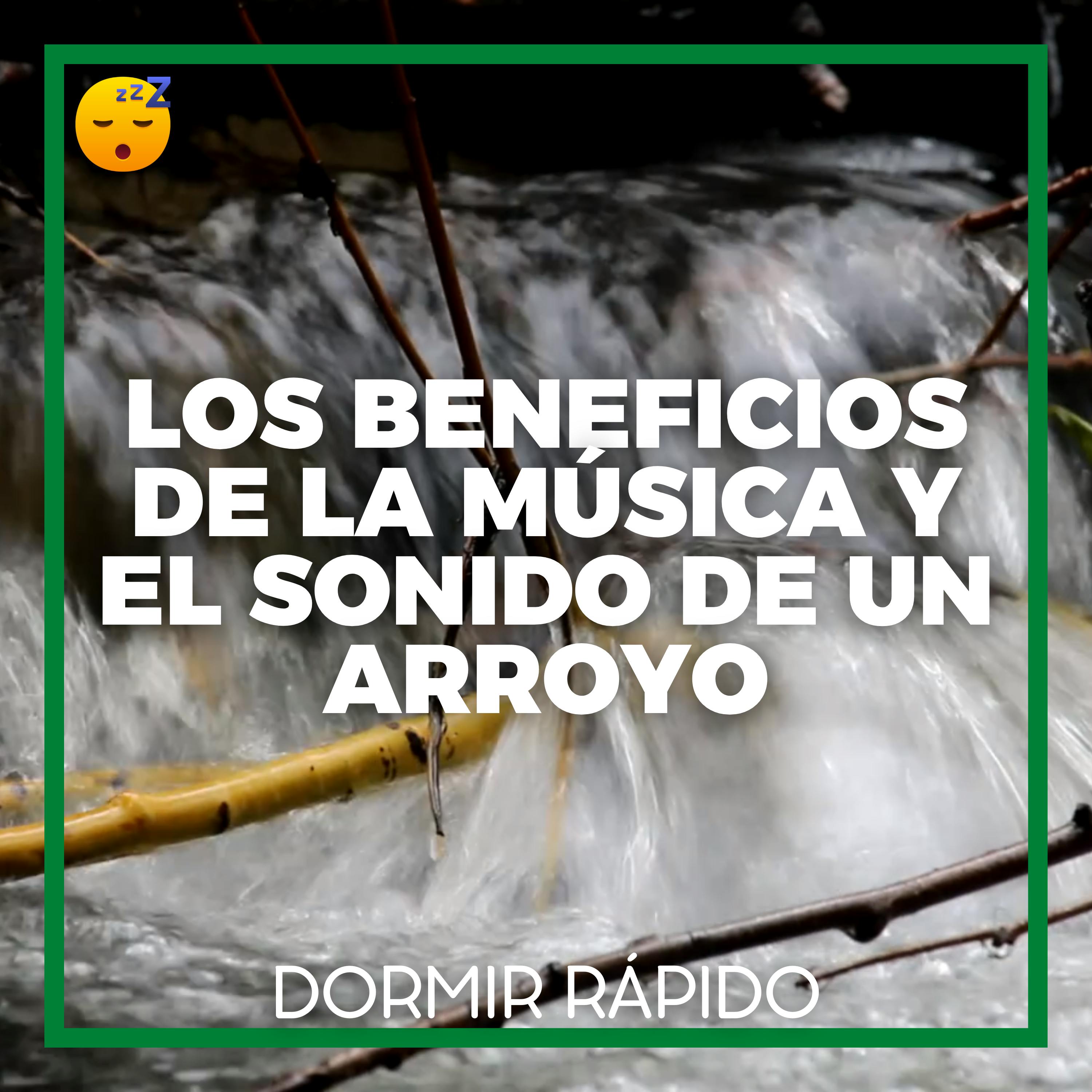 Los Beneficios de la MÚSICA y el Sonido de un ARROYO para un SUEÑO Óptimo episode artwork