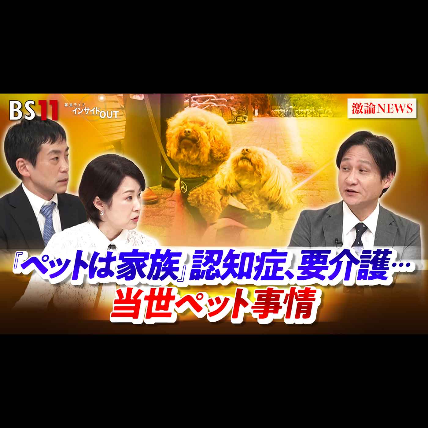 「『ペットは家族』認知症、要介護・・・当世ペット事情」2026年10月2日（金）