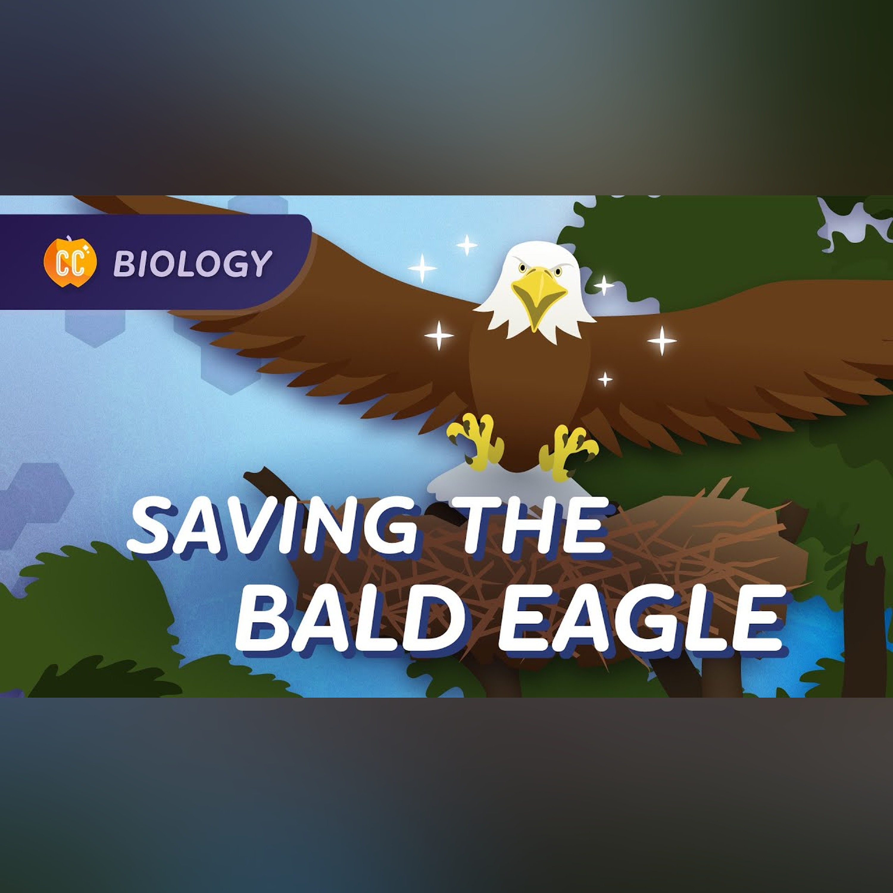 Population Ecology: How We Saved the Bald Eagle: Crash Course Biology #7