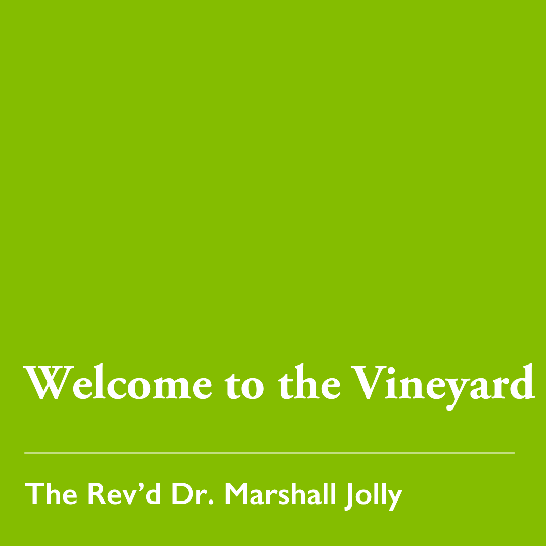 Pentecost 19 (A): Welcome to the Vineyard – Oct. 4, 2026