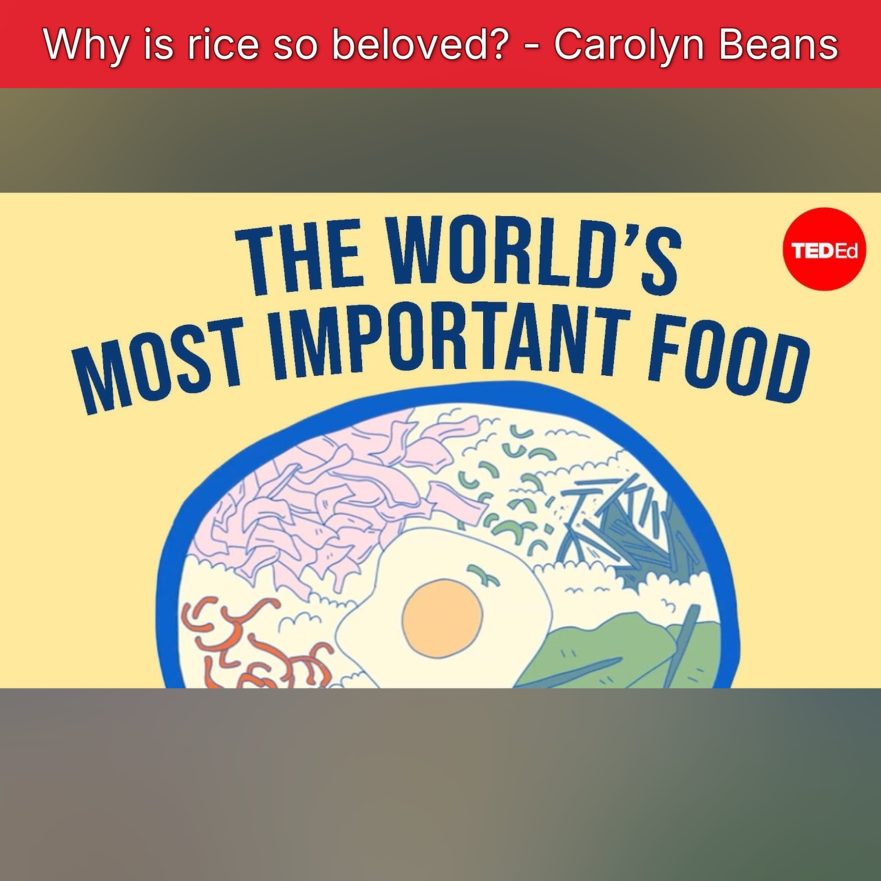 Why is rice so beloved? - Carolyn Beans episode artwork
